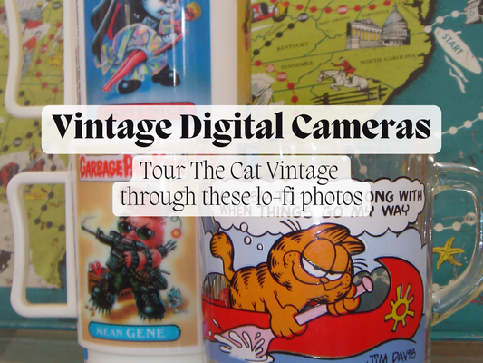 The Cat Vintage Through a Y2K Digital Camera