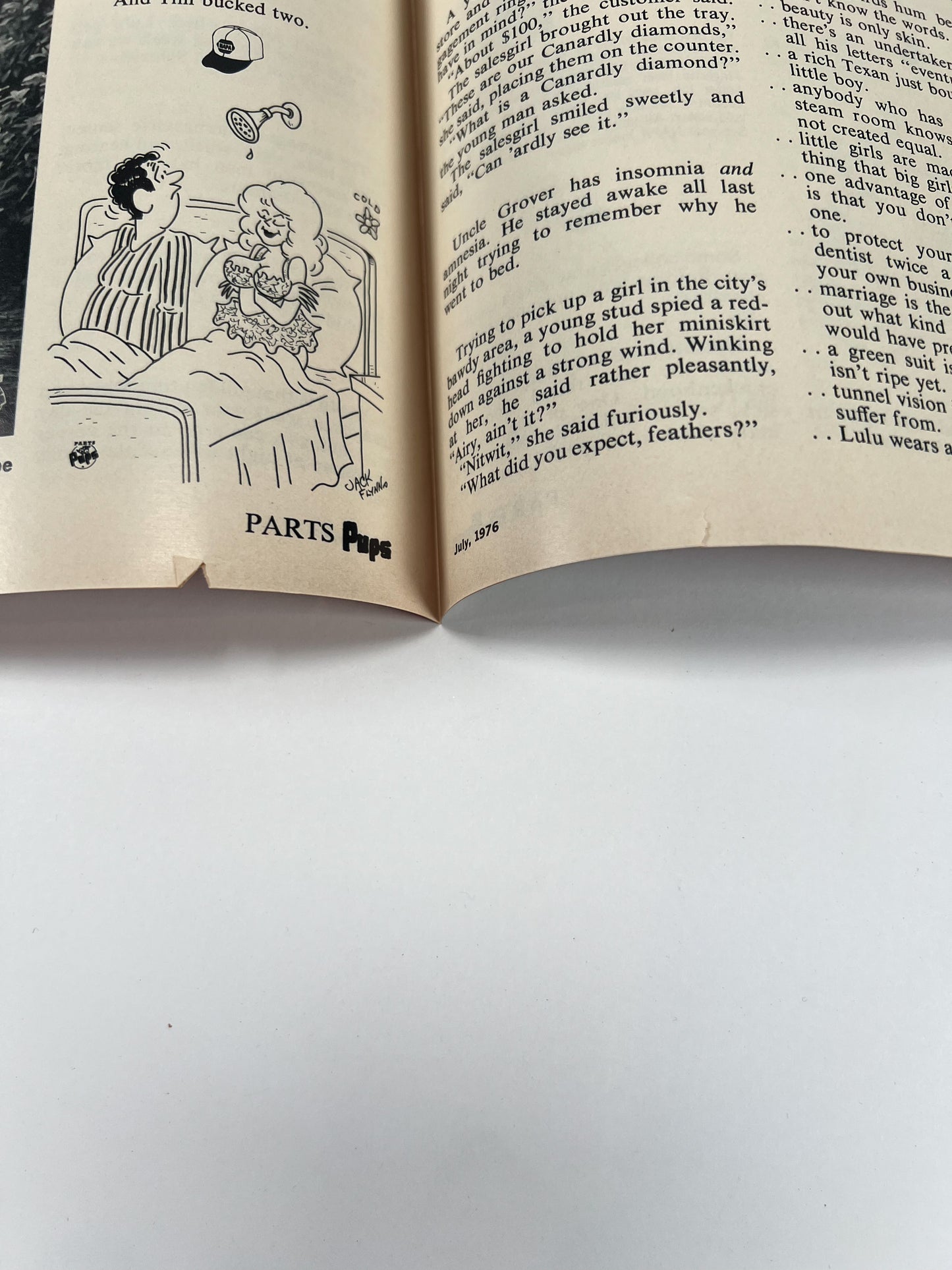 Vintage Ephemera - Magazine - Napa Parts & Pups - Greer Auto Parts - July 1976