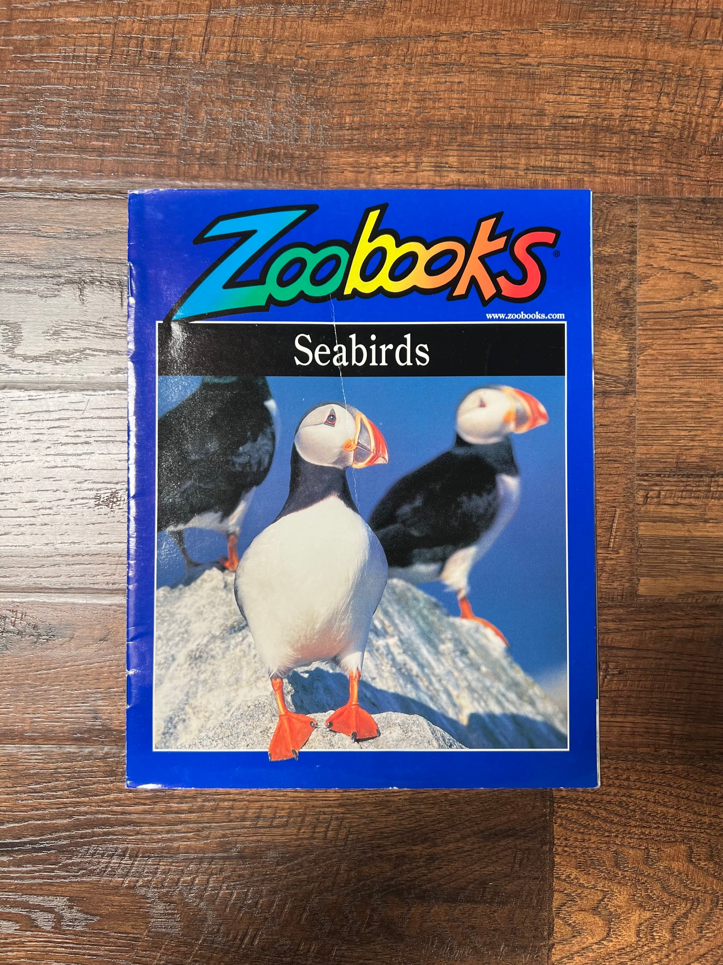 Vintage Ephemera - Magazine - Zoobooks - Seabirds - February 2000