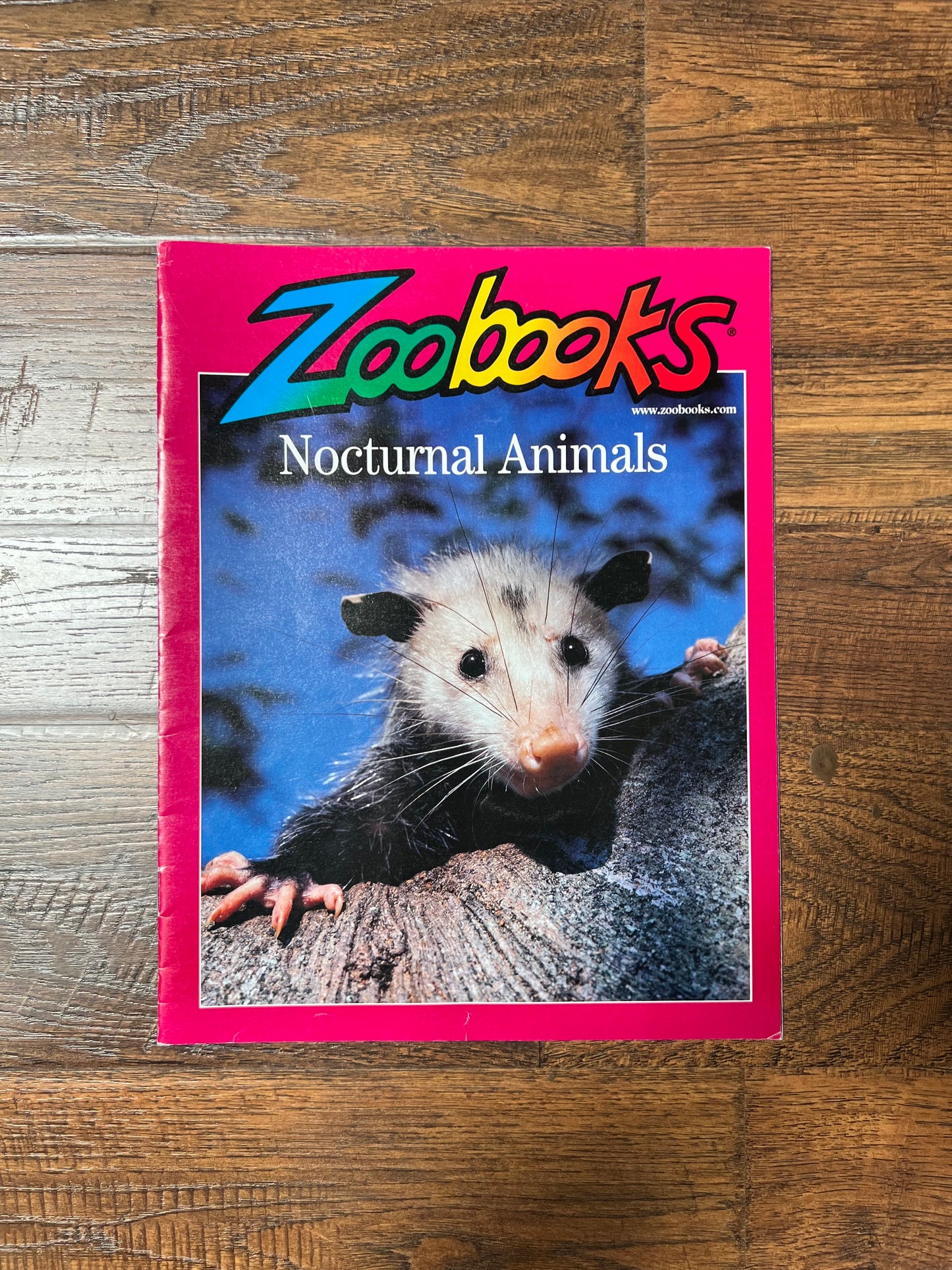 Vintage Ephemera - Magazine - Zoobooks - Nocturnal Animals - August 2000