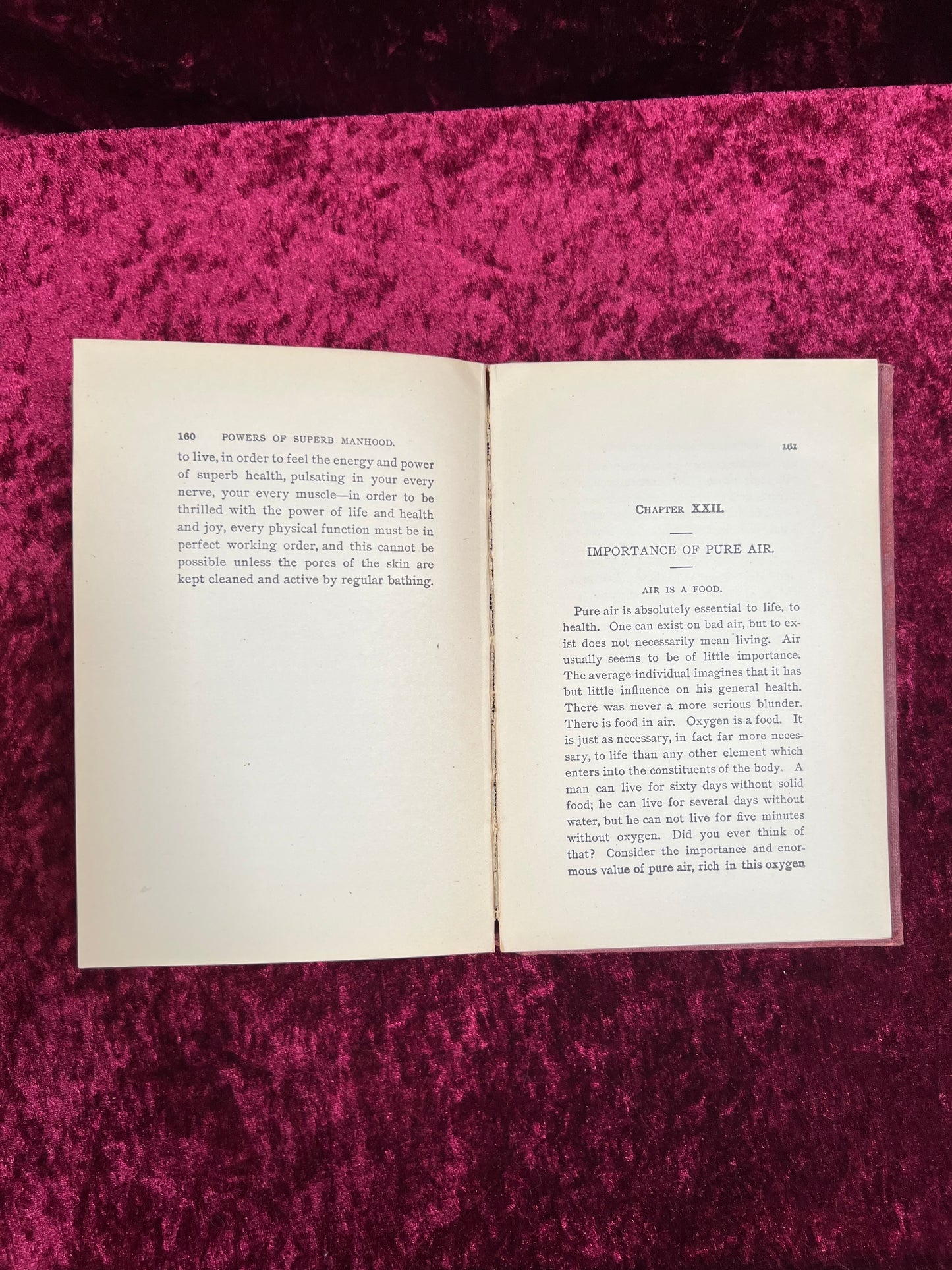 Antique Hardcover Book - The Virile Powers of Superb Manhood - Bernarr A. Macfadden - 1900