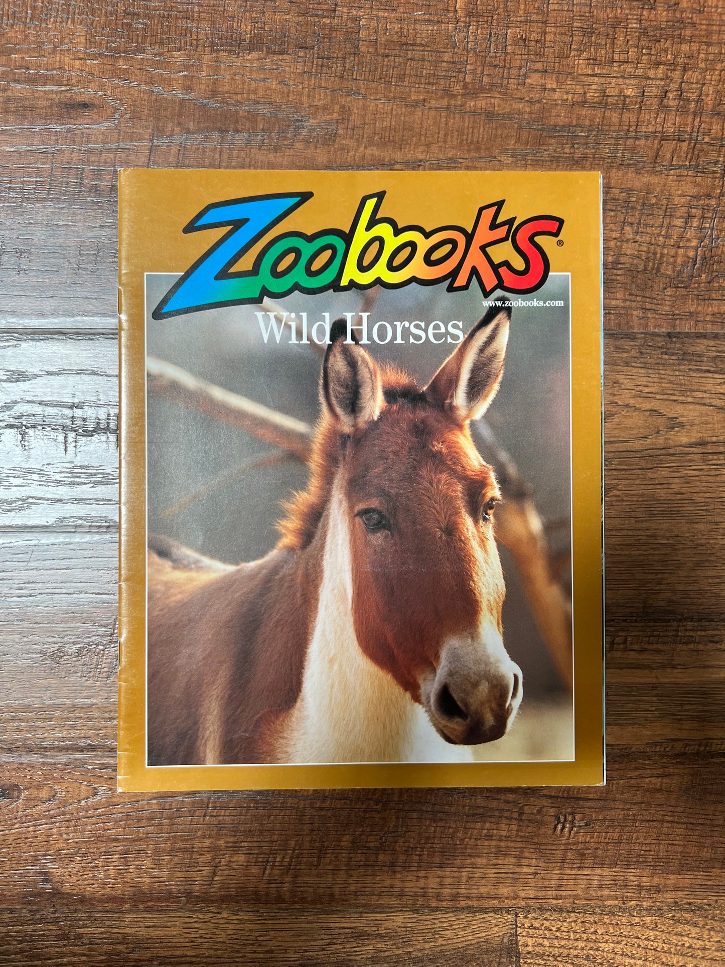 Vintage Ephemera - Magazine - Zoobooks - Wild Horses - April 2001