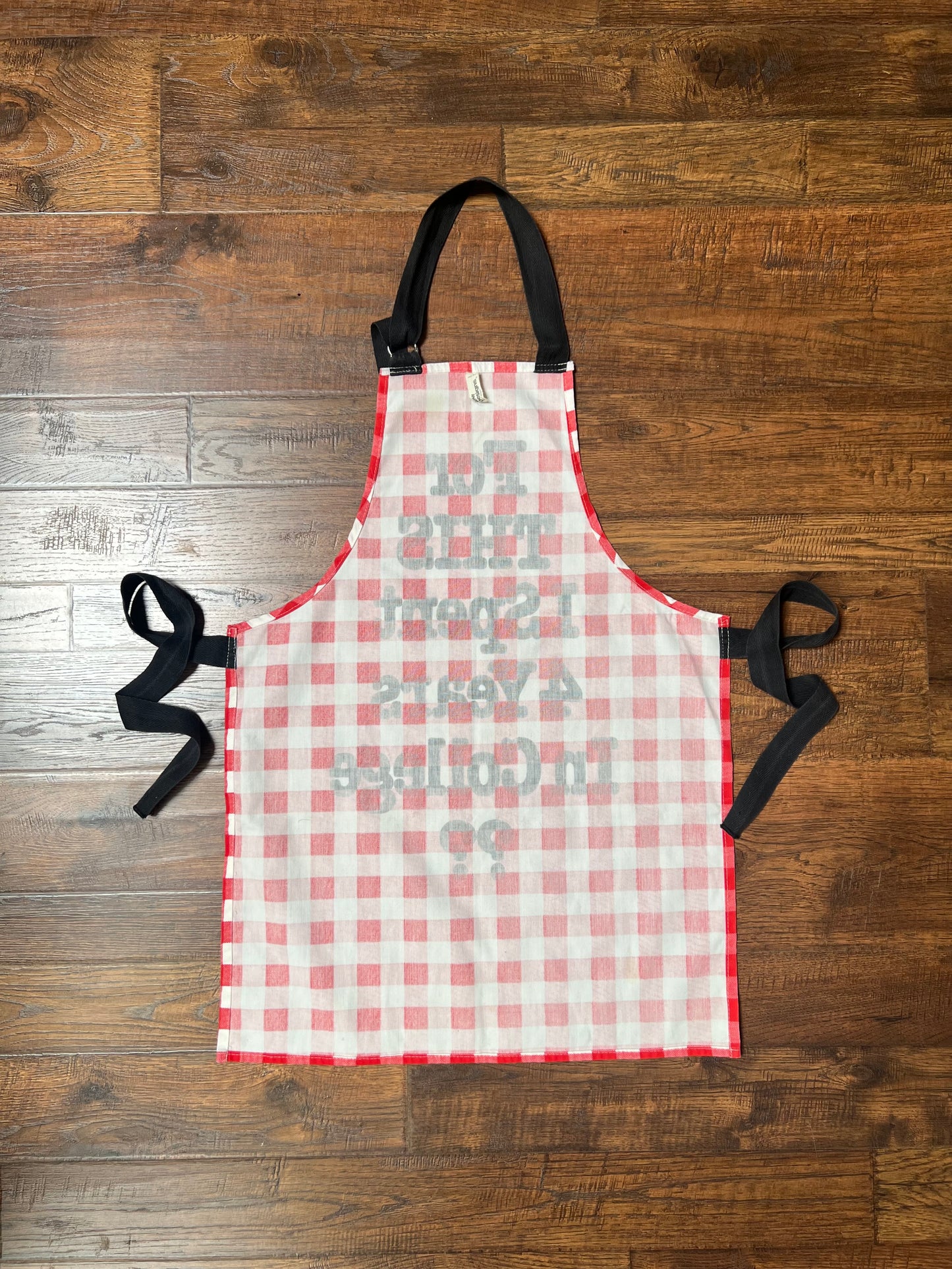 Vintage Clothing - Full Apron - Red Picnic Gingham - For This I Spent 4 Years In College? - Now Designs San Francisco