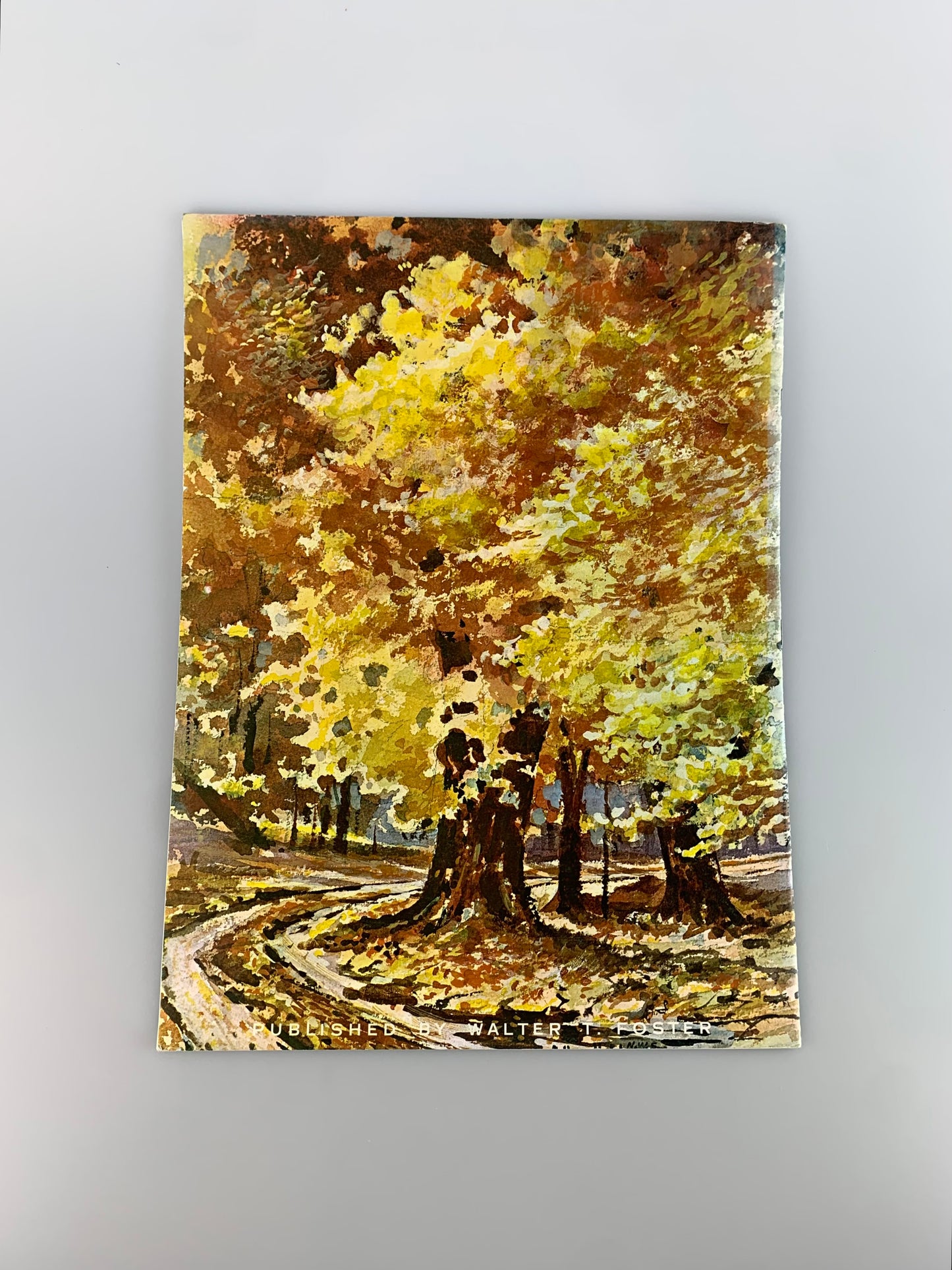 Vintage Walter T. Foster Art Book - It's Fun To Paint Roads & Rivers In Watercolor by LaVere Hutchings