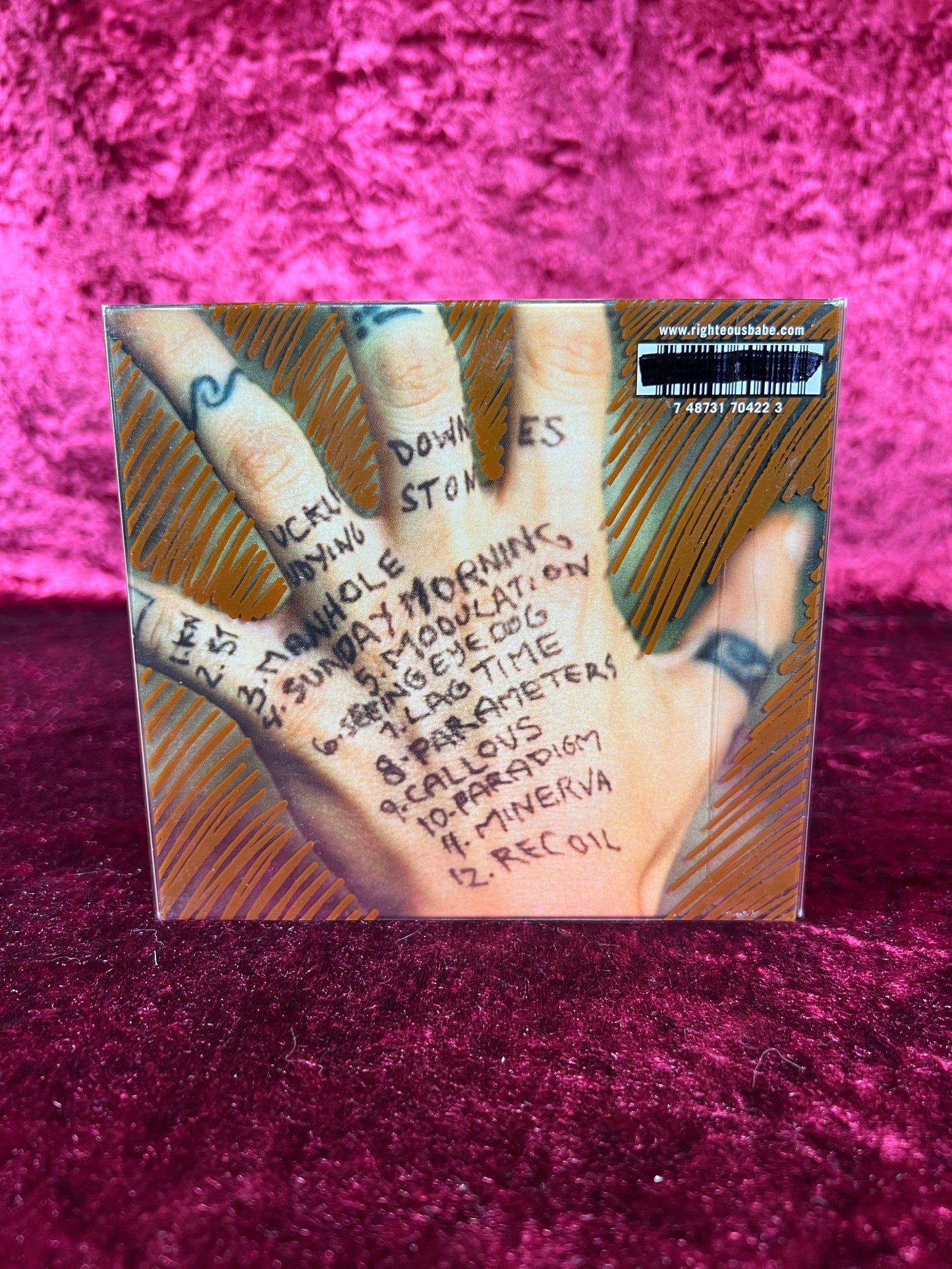 CD - Knuckle Down - Ani diFranco - Righteous Babe Records - 2005