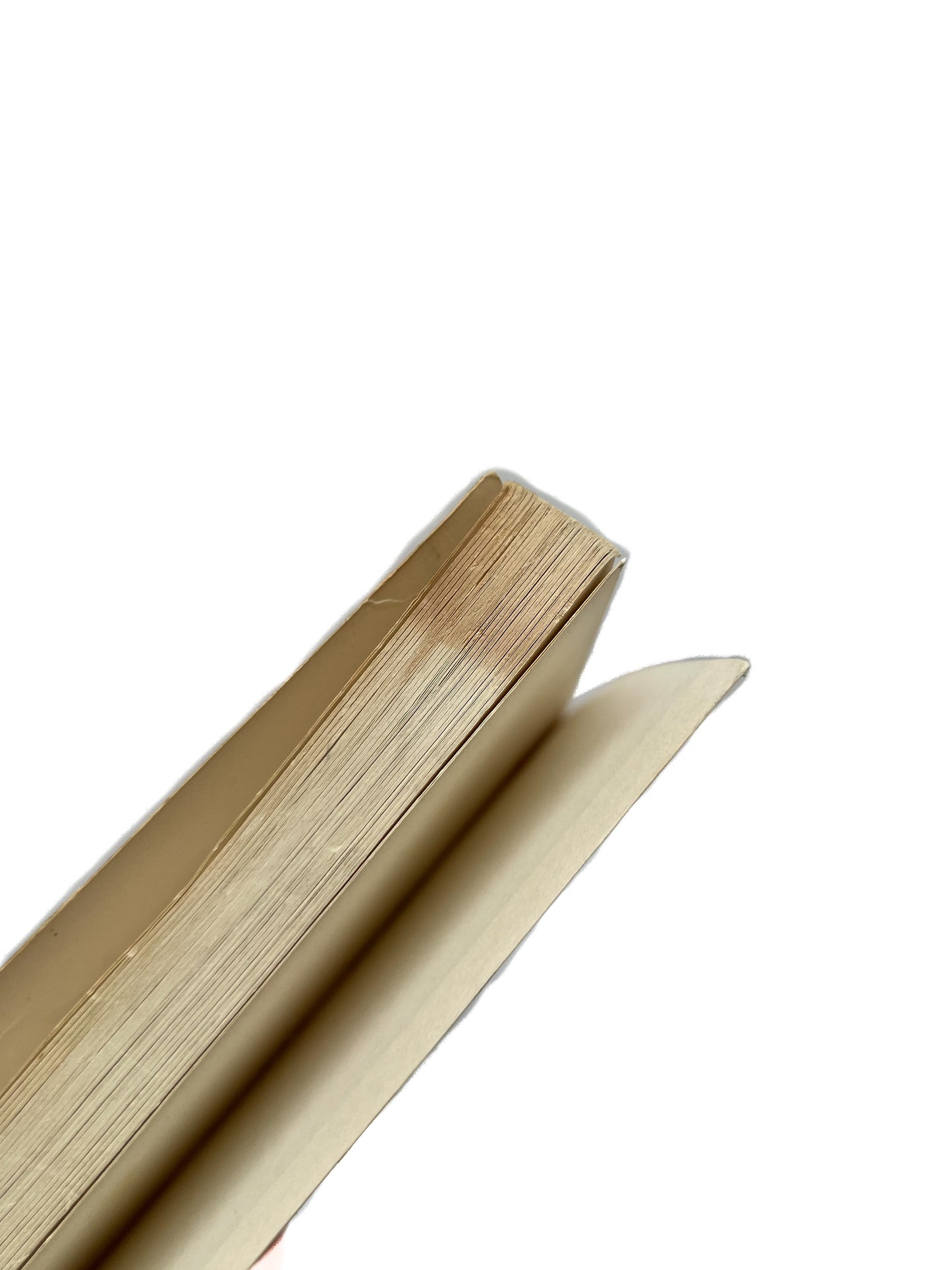 Vintage Paperback - Ward Number Six - David Lebedoff - 1972