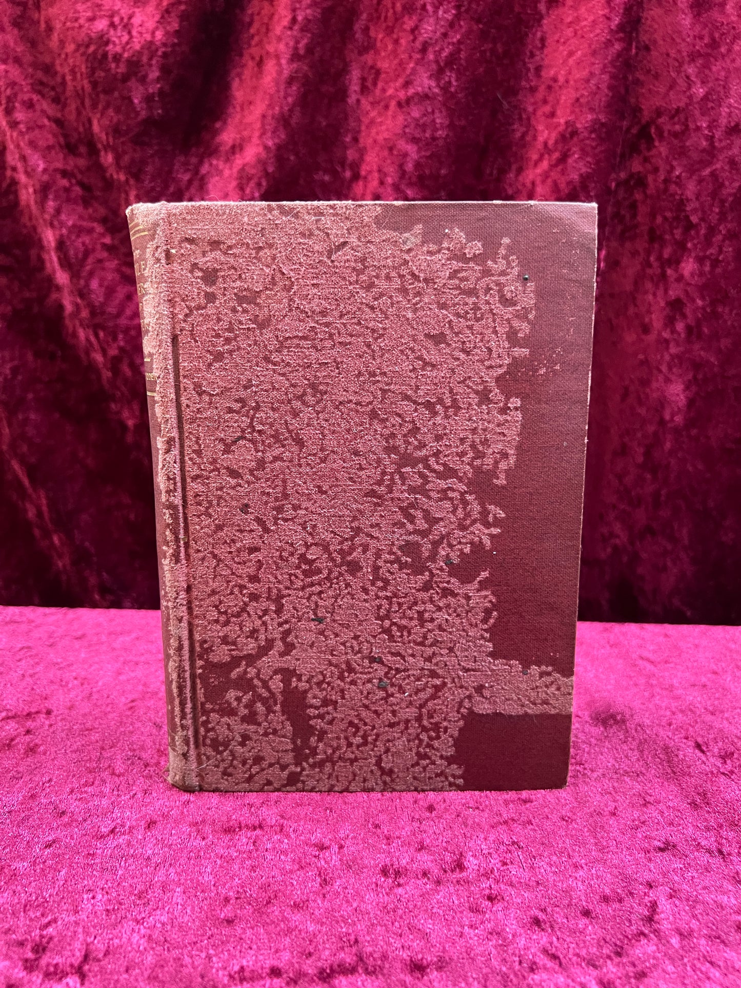 Antique Hardcover Book - The Virile Powers of Superb Manhood - Bernarr A. Macfadden - 1900