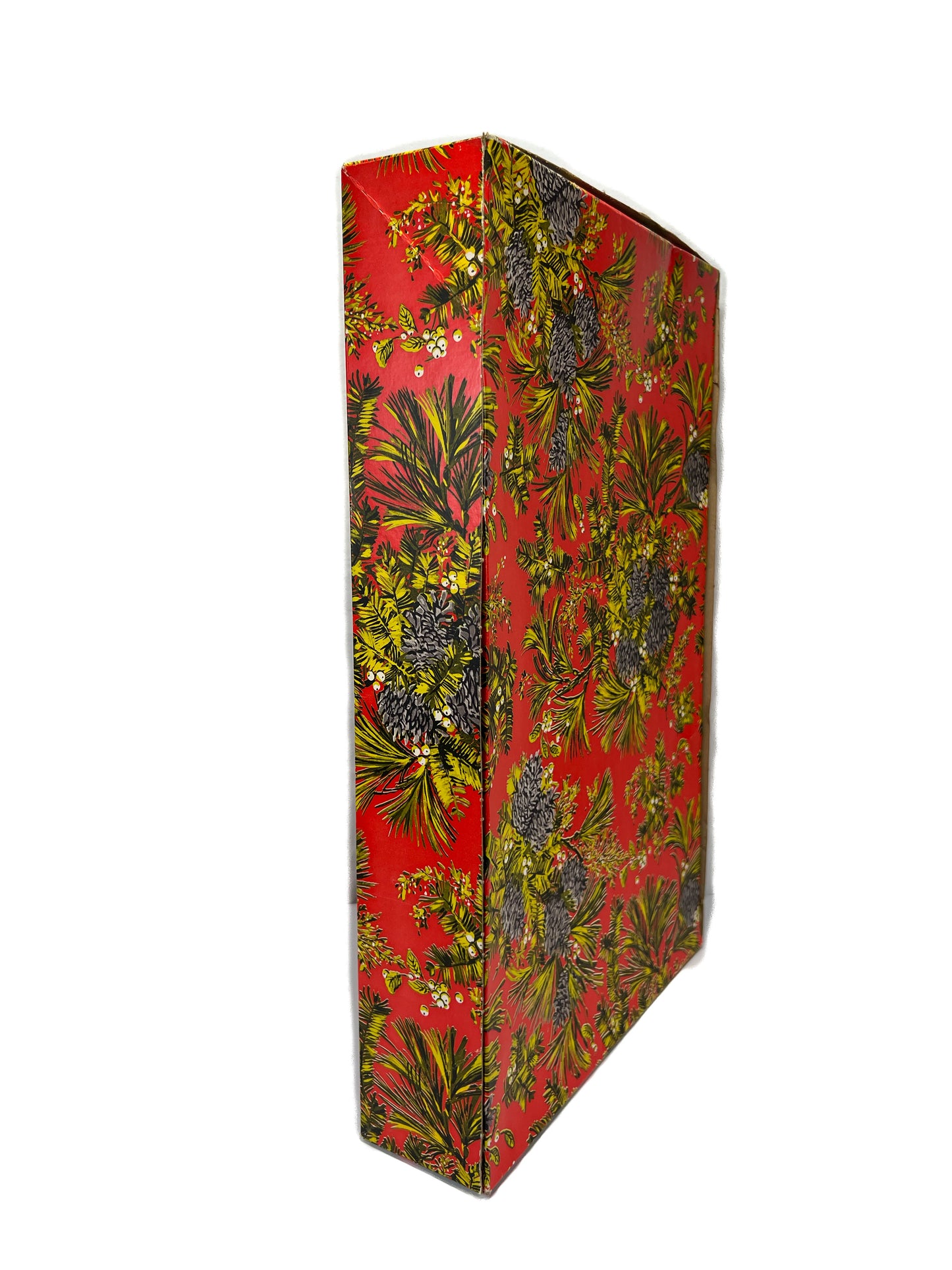 Vintage Shirt Box - Pine Cone Clusters on Persimmon