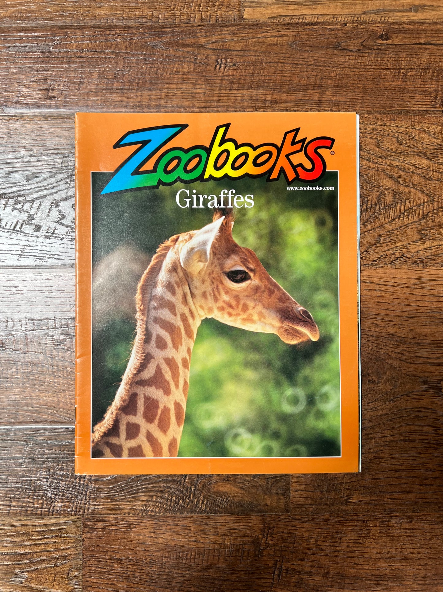 Vintage Ephemera - Magazine - Zoobooks - Giraffes - May 2001
