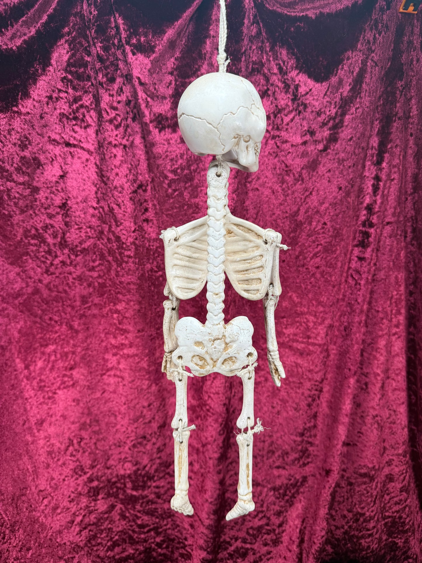 Vintage Halloween - Jointed Hanging Skeleton - Ceramic