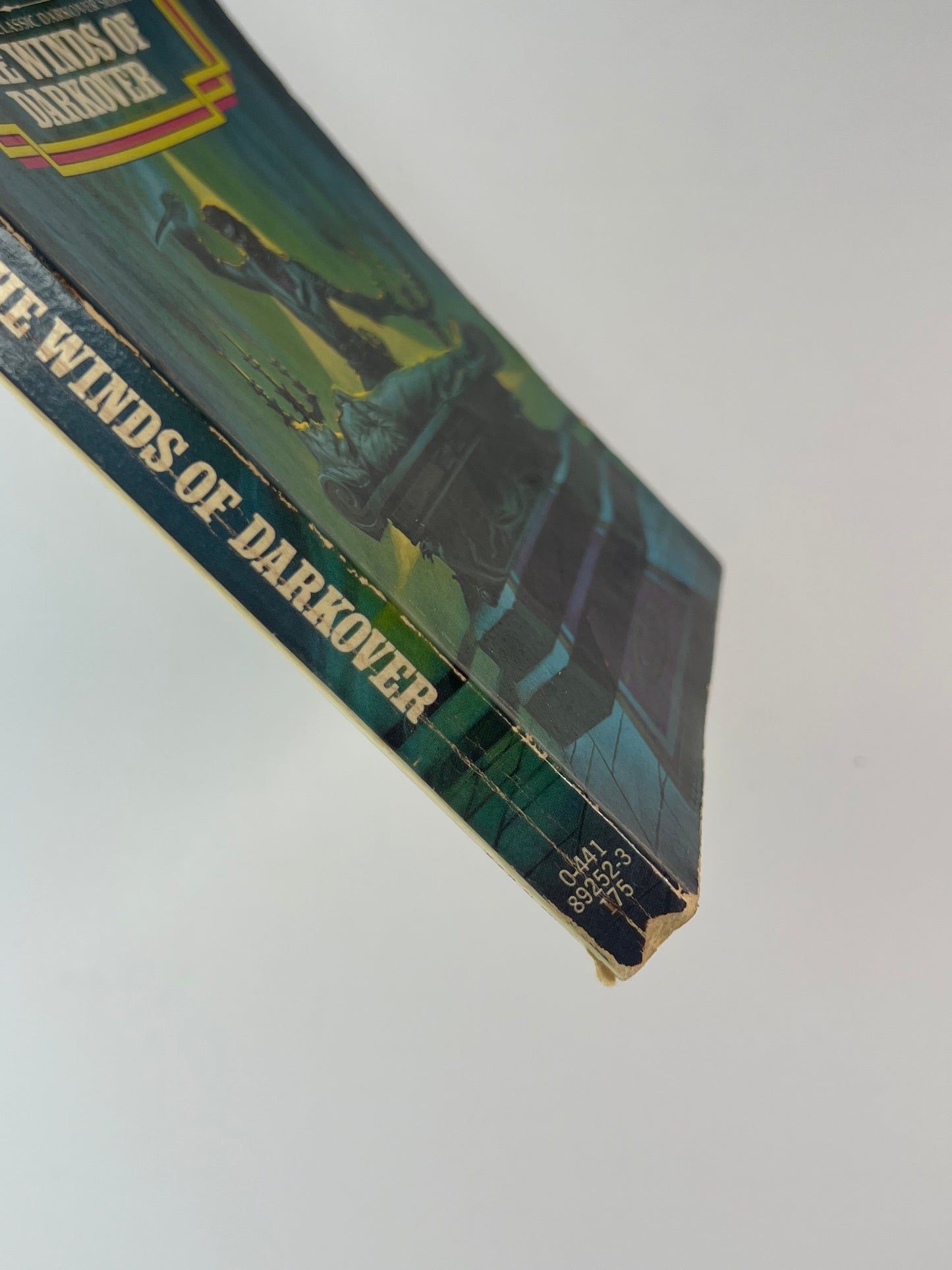 Vintage Paperback - The Winds of Darkover - Marion Zimmer Bradley - 1970