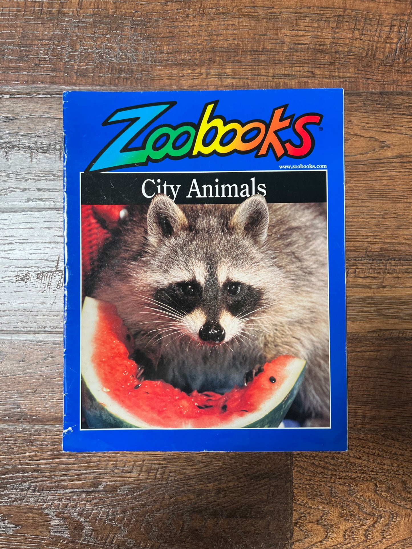 Vintage Ephemera - Magazine - Zoobooks - City Animals - November 1999