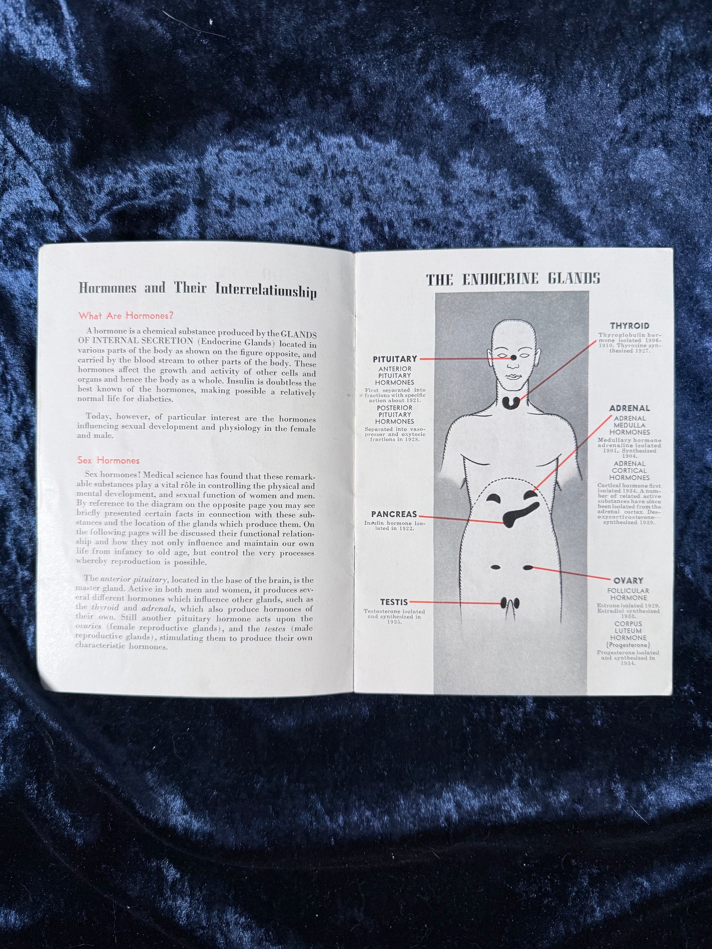 Vintage Paper Science Booklet – Sex Hormones 1939 Golden Gate Expo