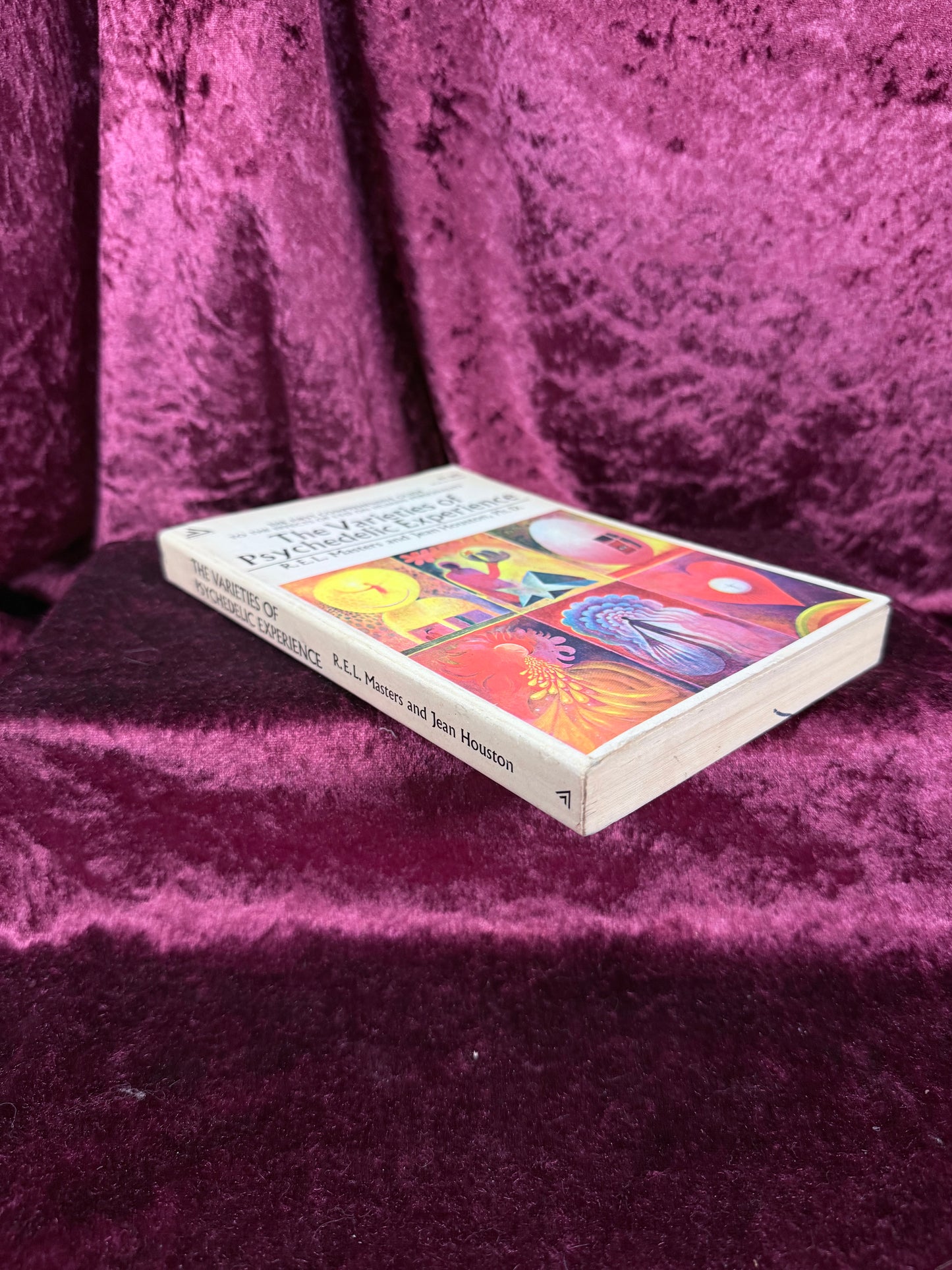 Vintage Paperback Book – The Varieties of Psychedelic Experience REL Masters