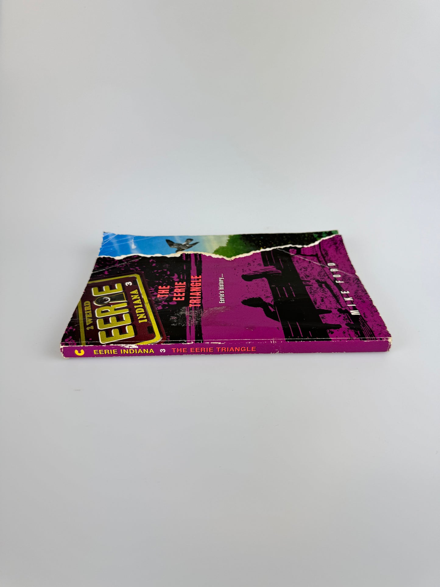 "2 Weird" Eerie Indiana Book - #3 The Eerie Triangle - Mike Ford