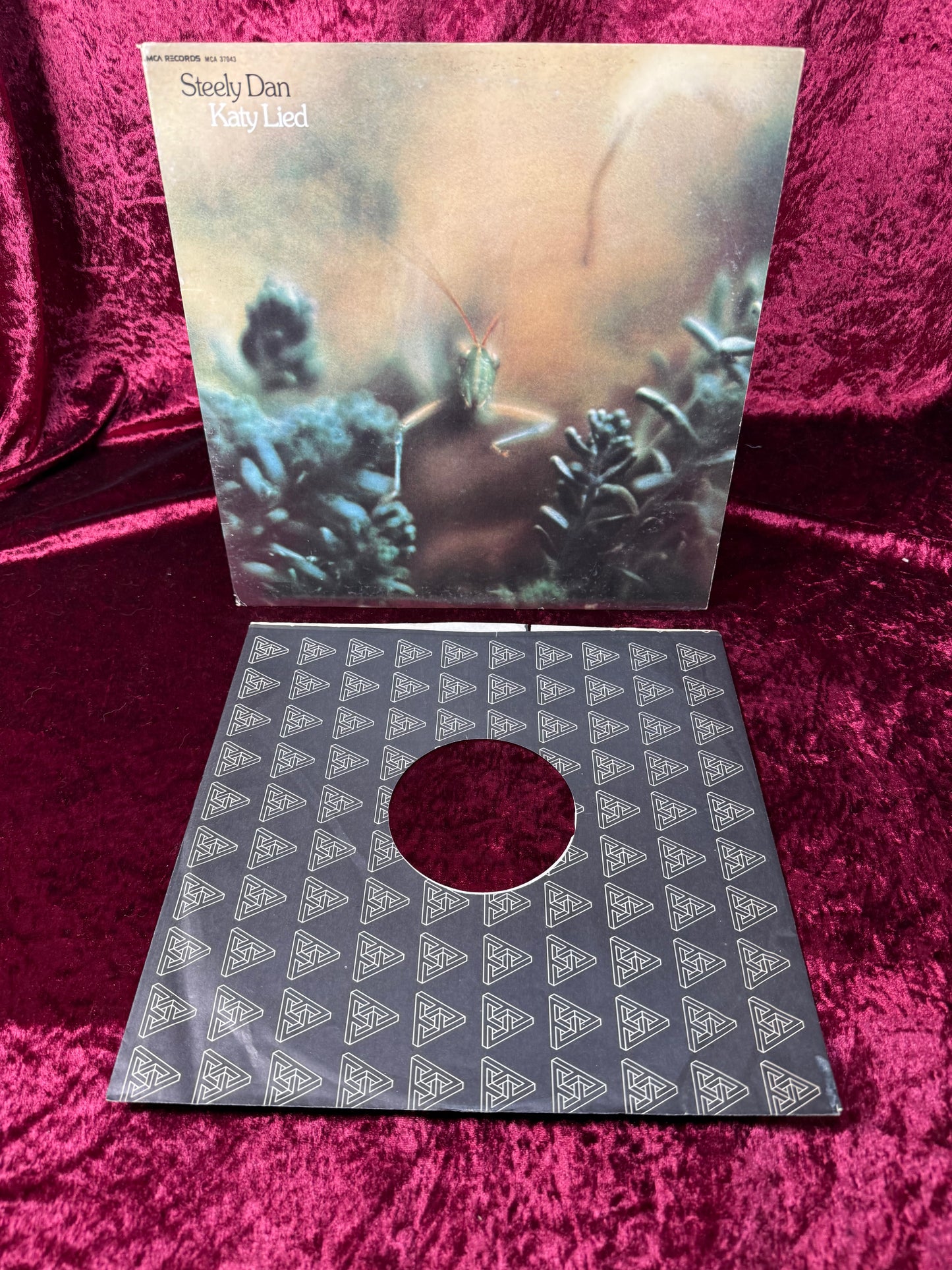 Vintage 12" Vinyl Record - Steely Dan - Katy Lied - MCA Records - 1975