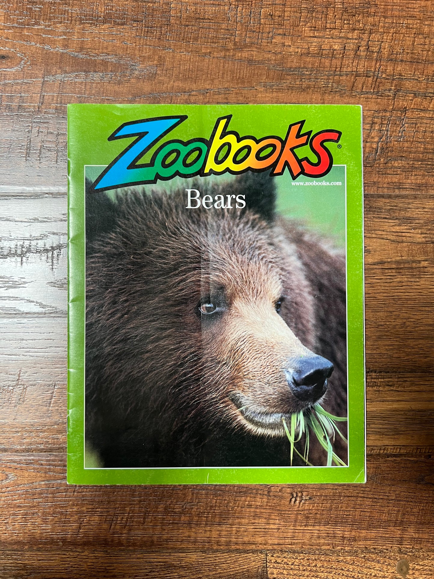 Vintage Ephemera - Magazine - Zoobooks - Bears - March 2001