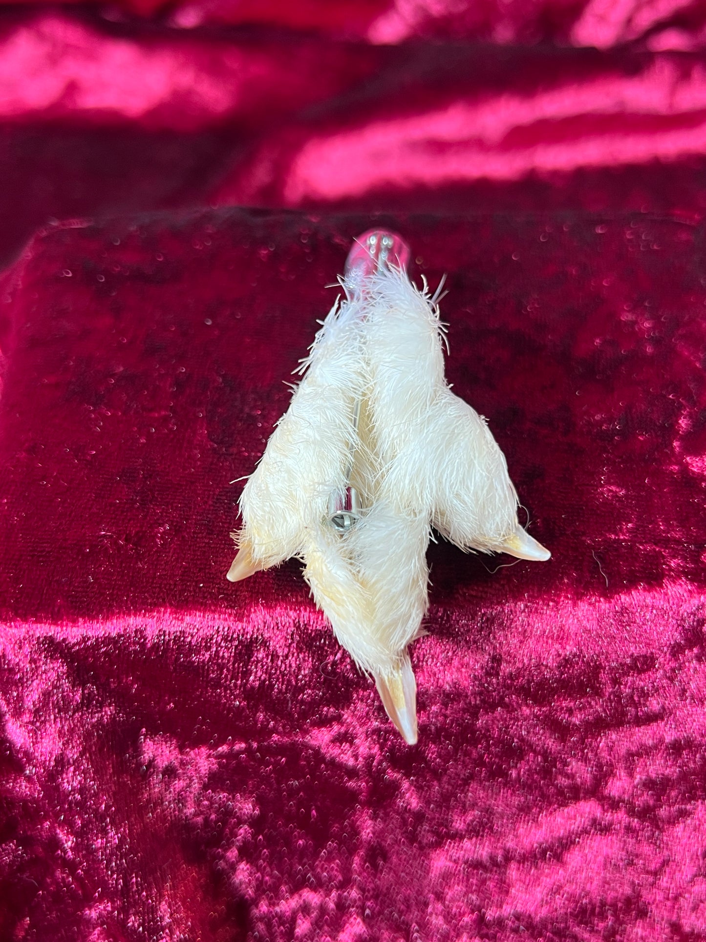 Vintage Jewelry - Taxidermy Brooch - Sterling Silver - Lucky Grouse Foot