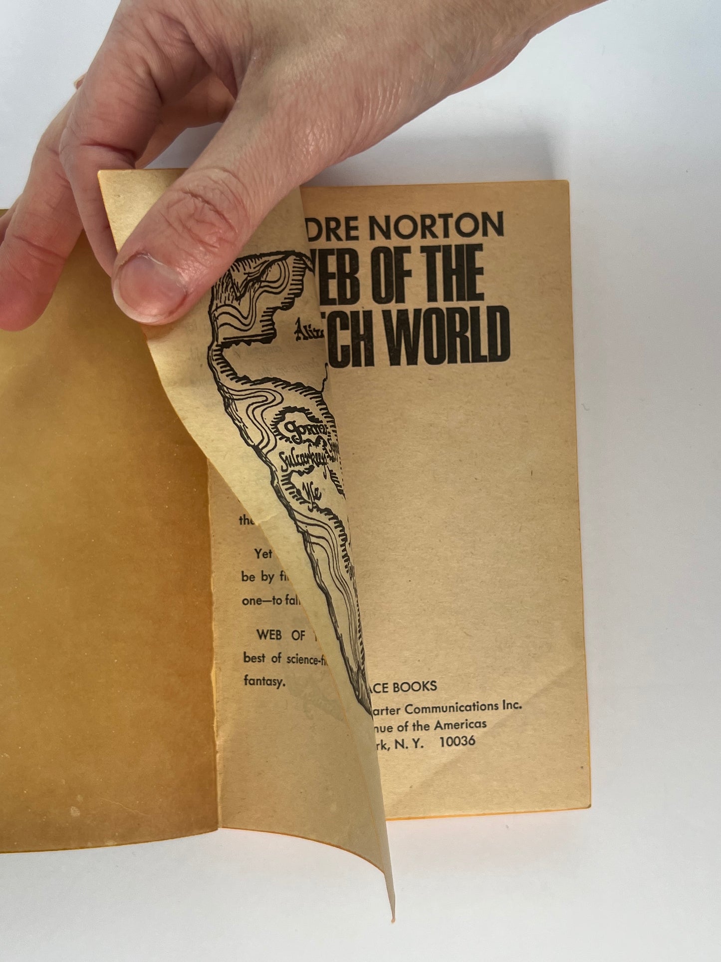 Vintage Paperback - Web Of The Witch World - Andre Norton - 1964 ACE Books