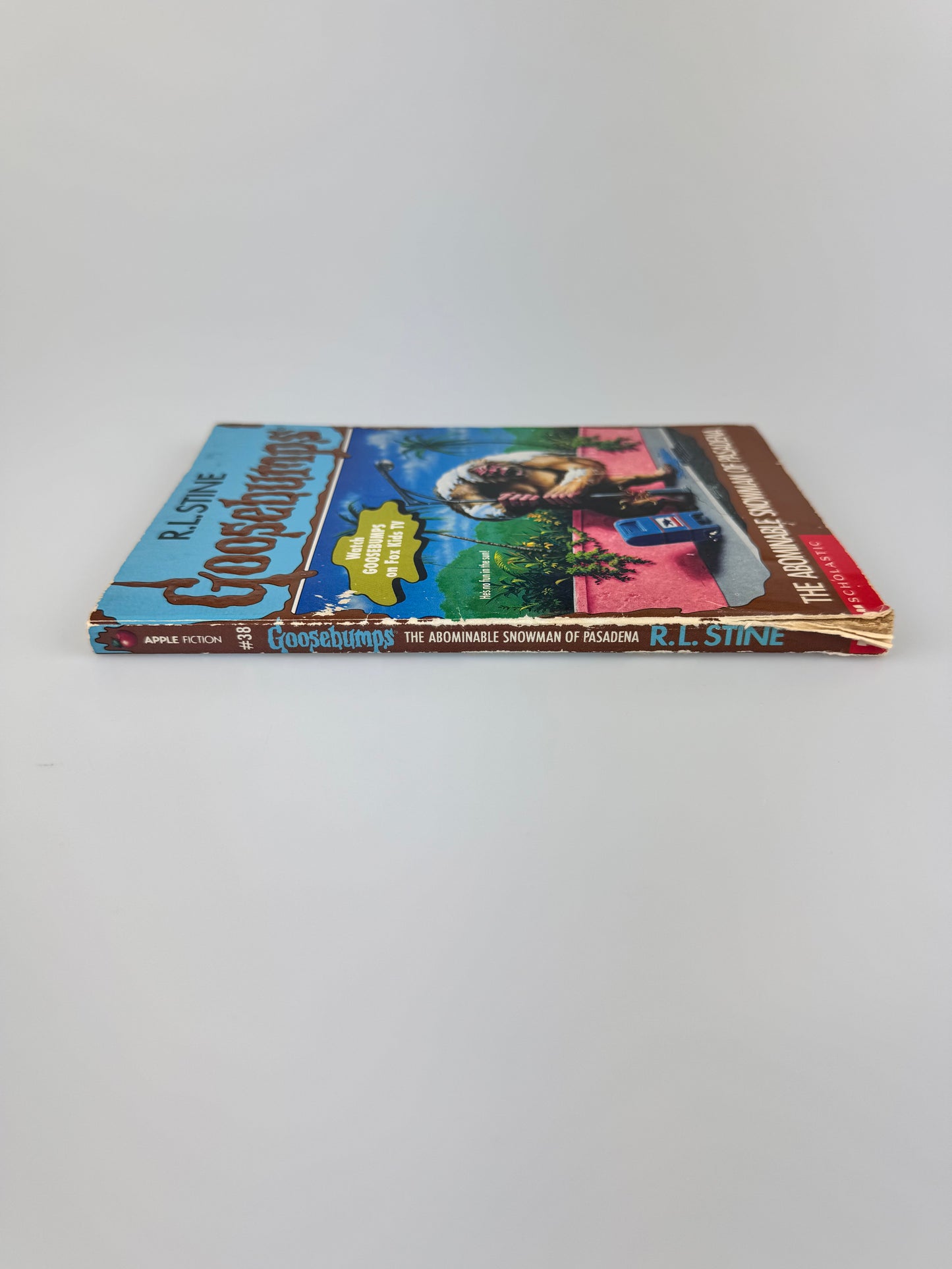 Vintage Horror Paperback - Original 1990s Goosebumps Book - R.L. Stine