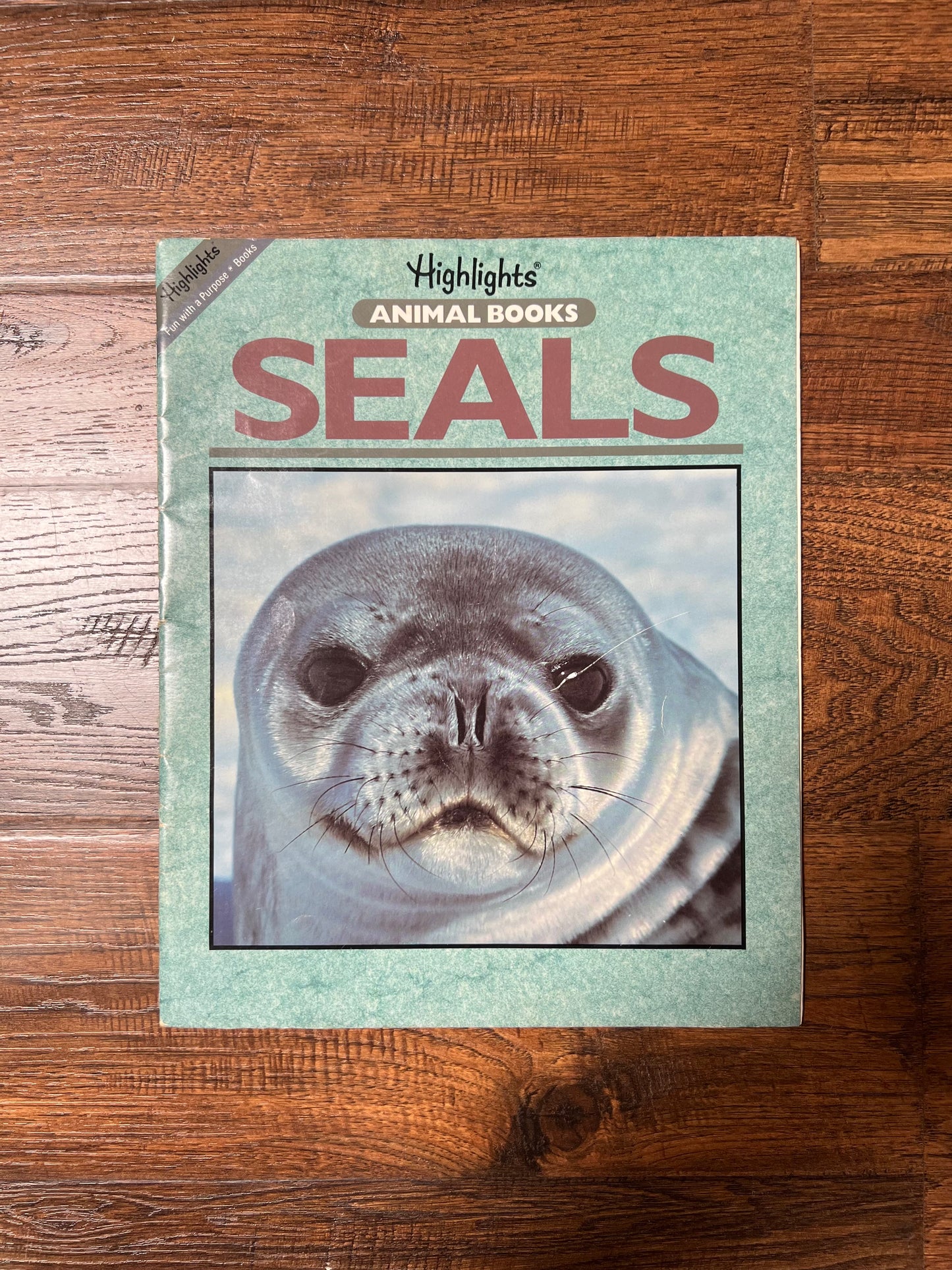 Vintage Ephemera - Magazine - Highlights Animal Books - Seals - 1991