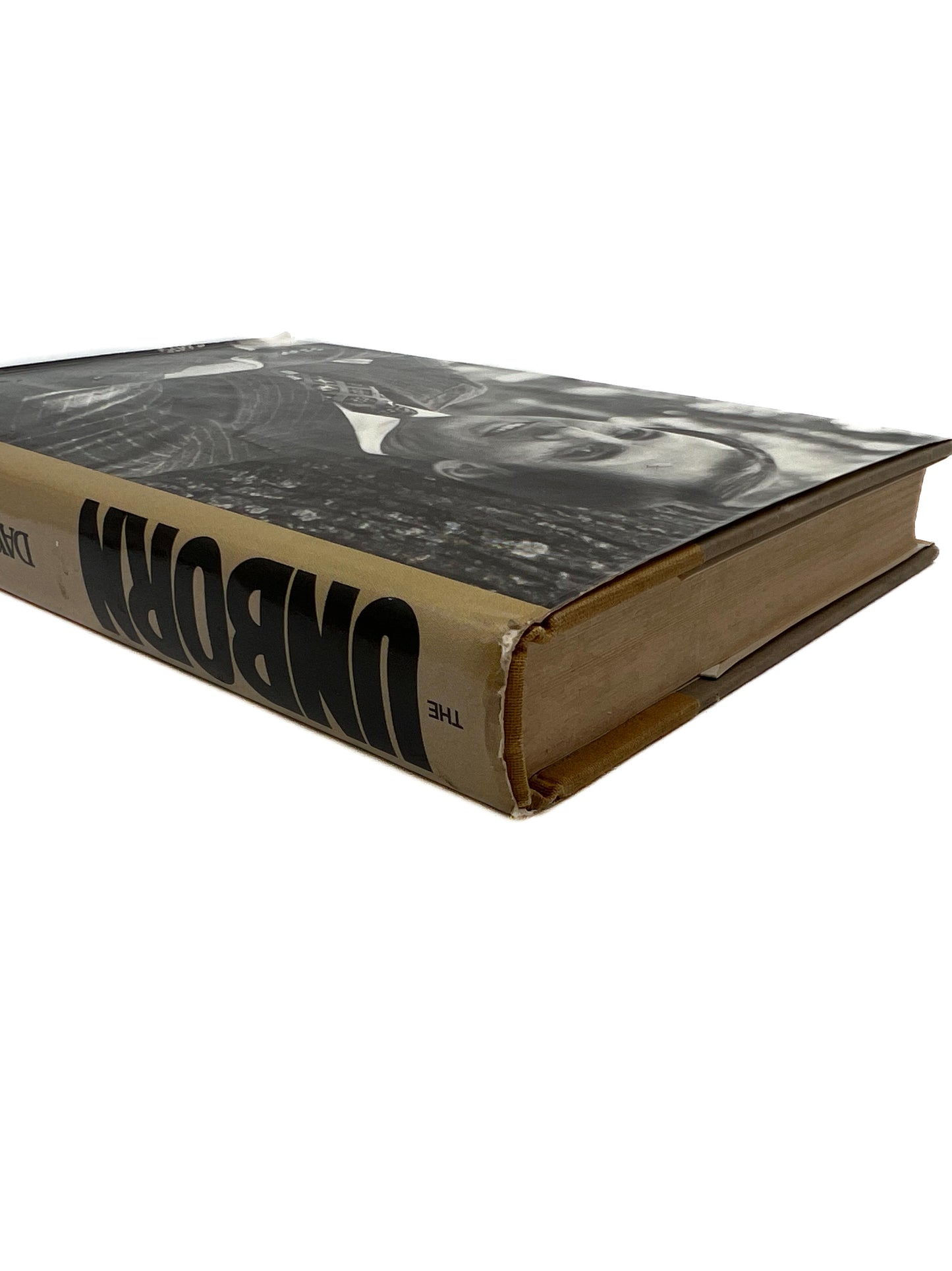 Vintage Hardcover - The Unborn - David Shobin - 1981 Linden Press