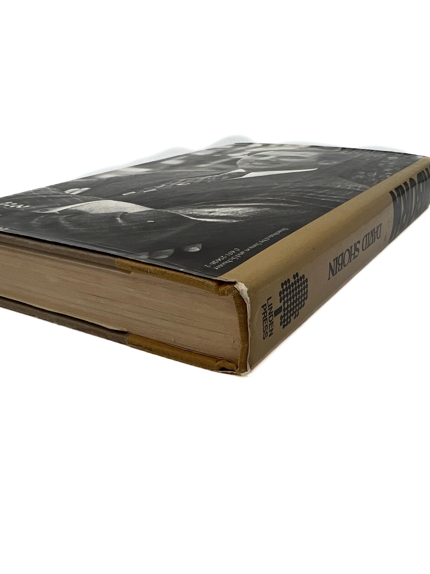 Vintage Hardcover - The Unborn - David Shobin - 1981 Linden Press