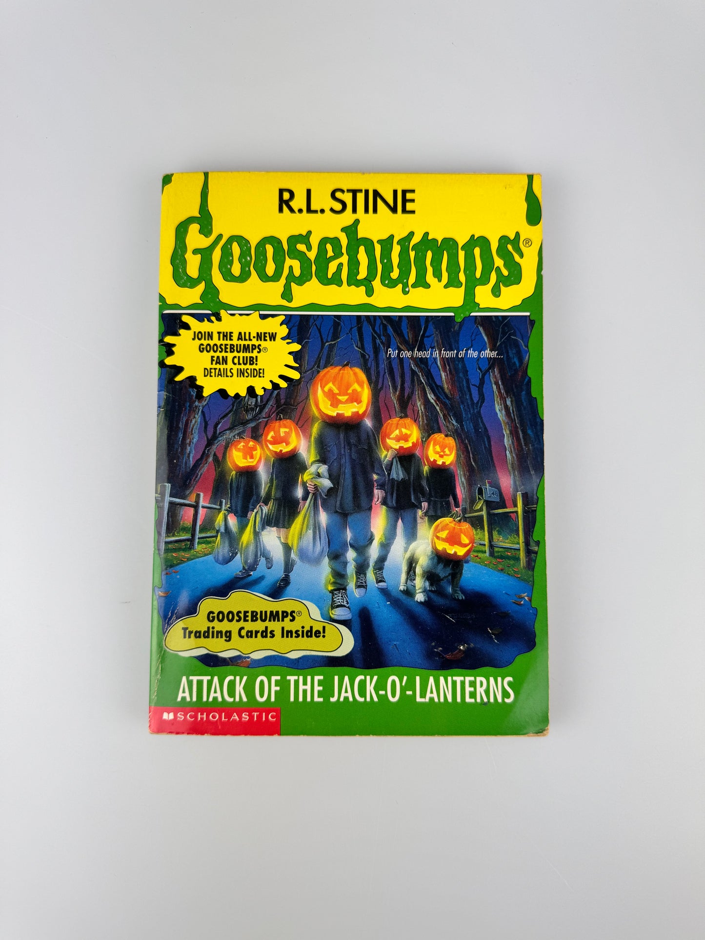 Vintage Horror Paperback - Original 1990s Goosebumps Book - R.L. Stine