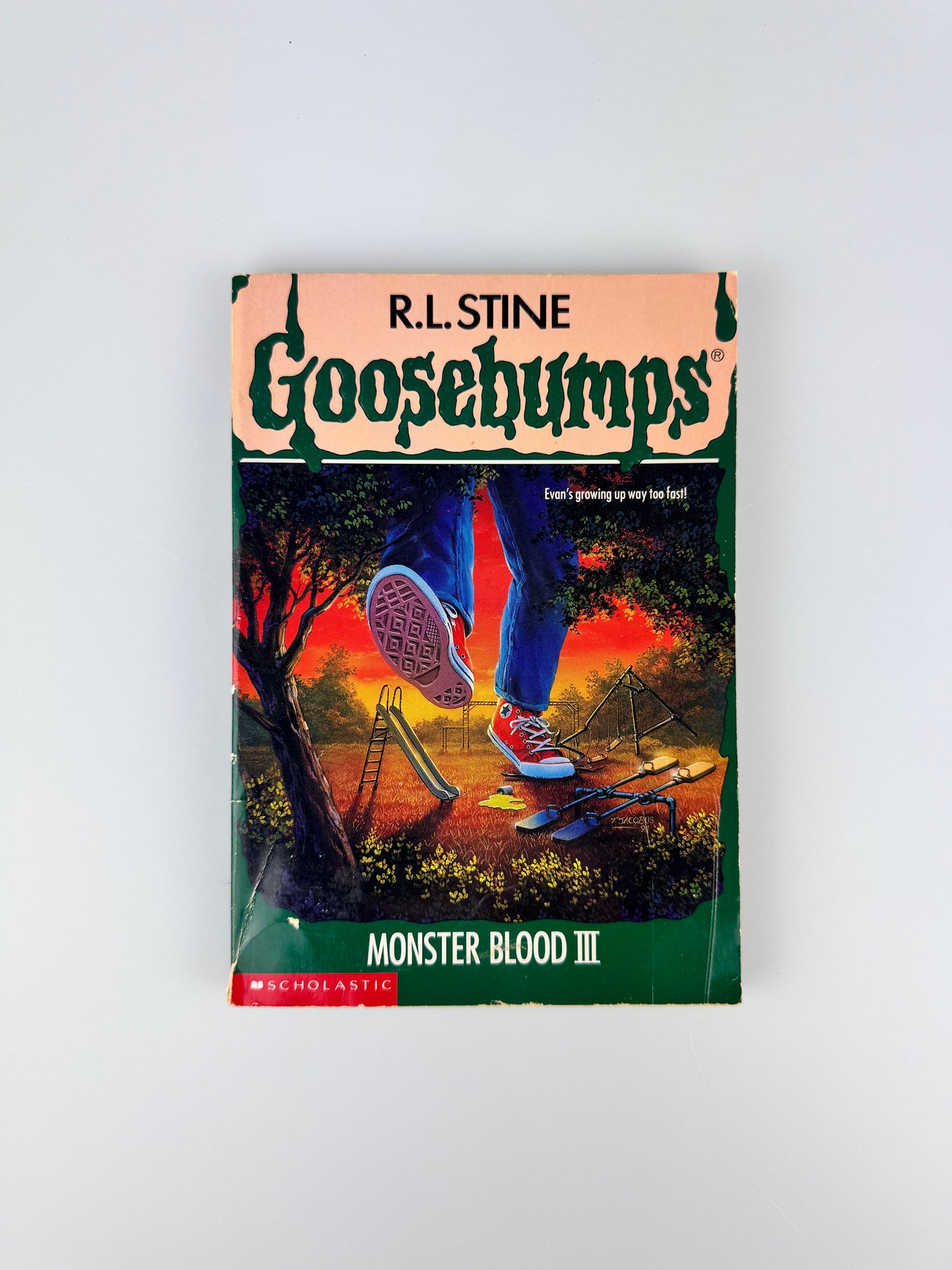 Vintage Horror Paperback - Original 1990s Goosebumps Book - R.L. Stine