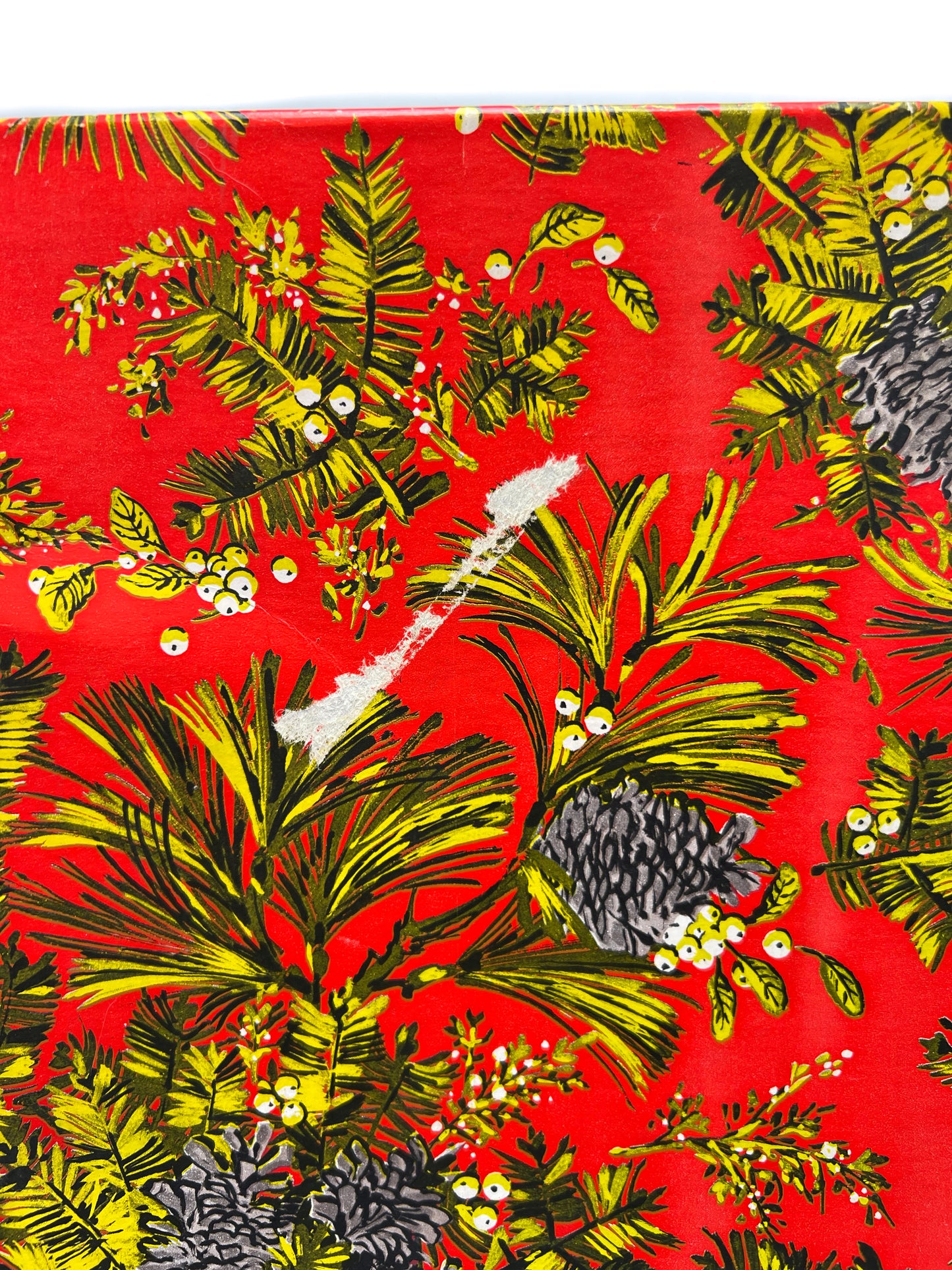 Vintage Shirt Box - Pine Cone Clusters on Persimmon