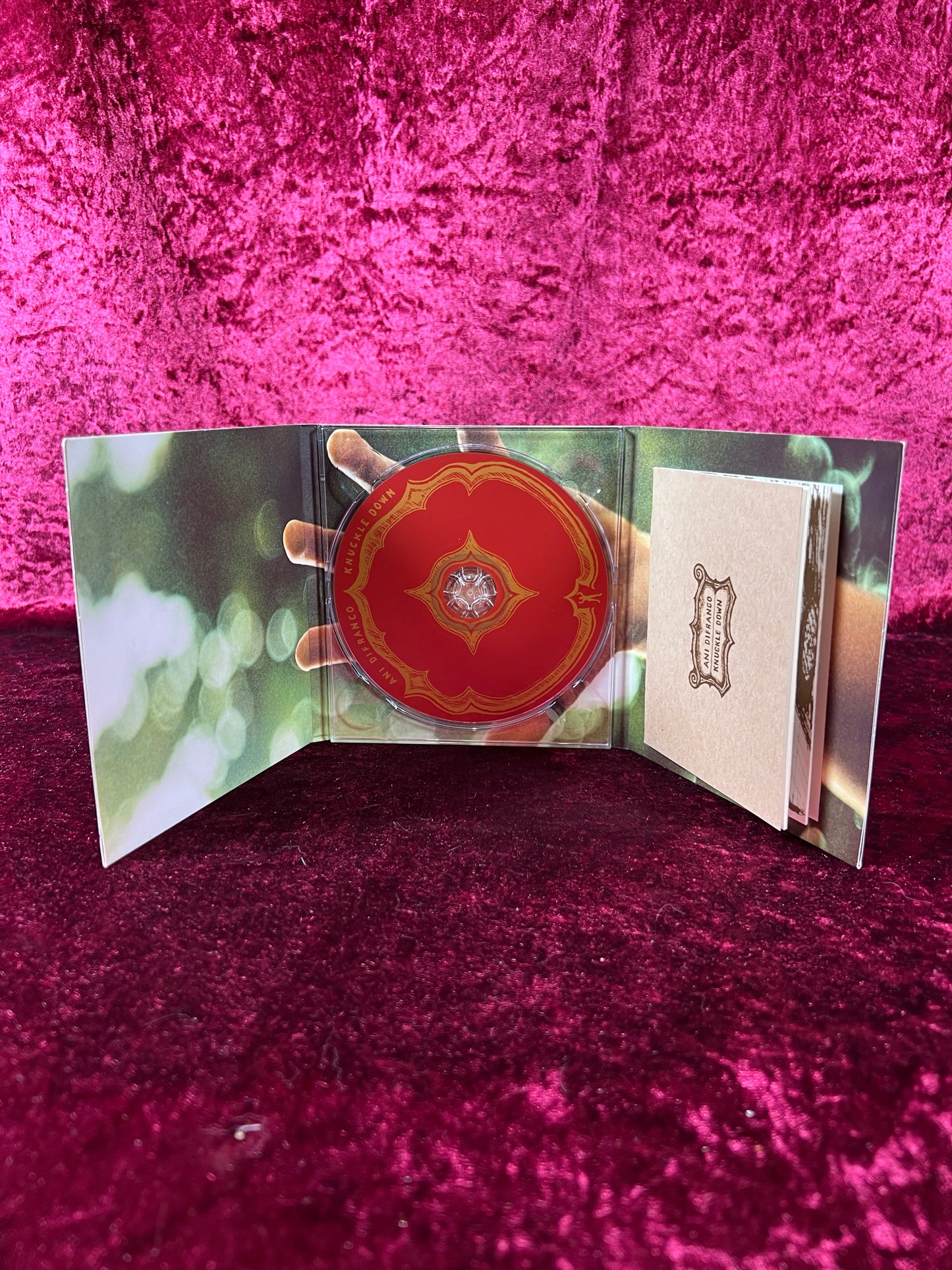 CD - Knuckle Down - Ani diFranco - Righteous Babe Records - 2005