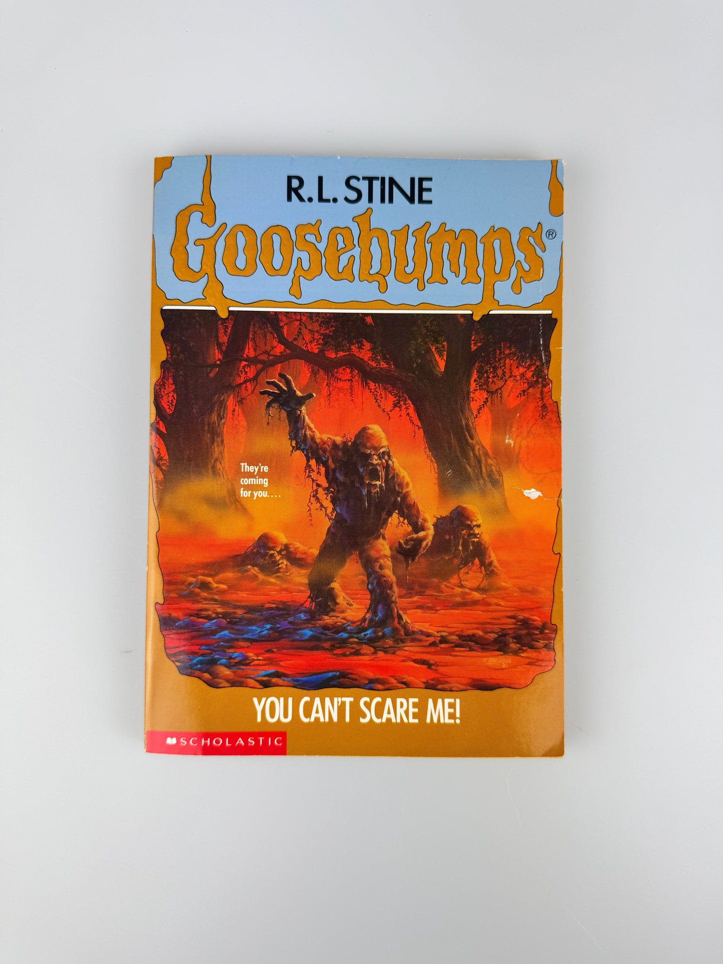 Vintage Horror Paperback - Original 1990s Goosebumps Book - R.L. Stine