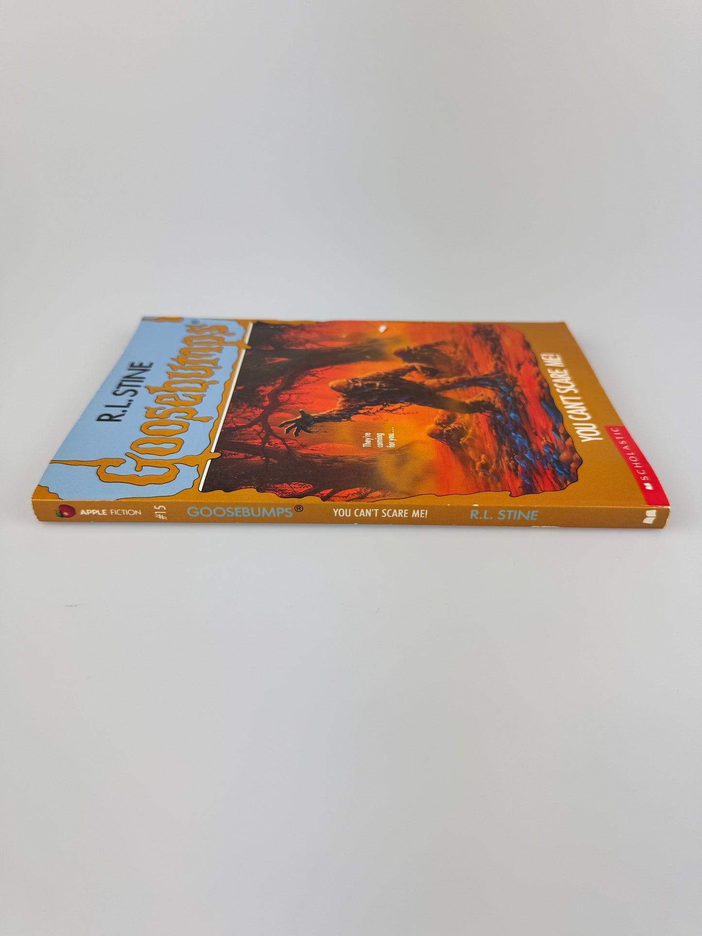 Vintage Horror Paperback - Original 1990s Goosebumps Book - R.L. Stine