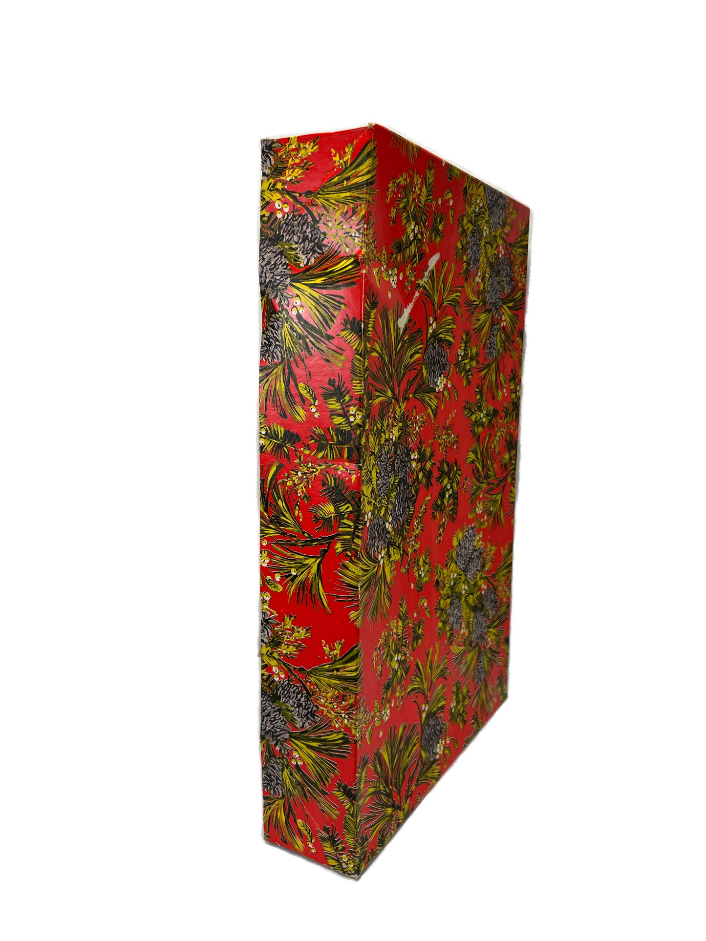 Vintage Shirt Box - Pine Cone Clusters on Persimmon