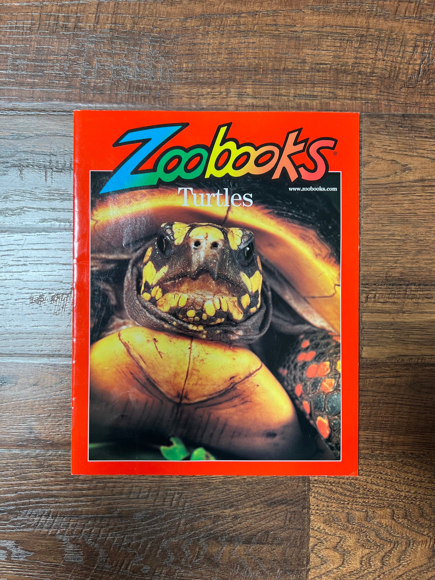 Vintage Ephemera - Magazine - Zoobooks - Turtles - August 2002