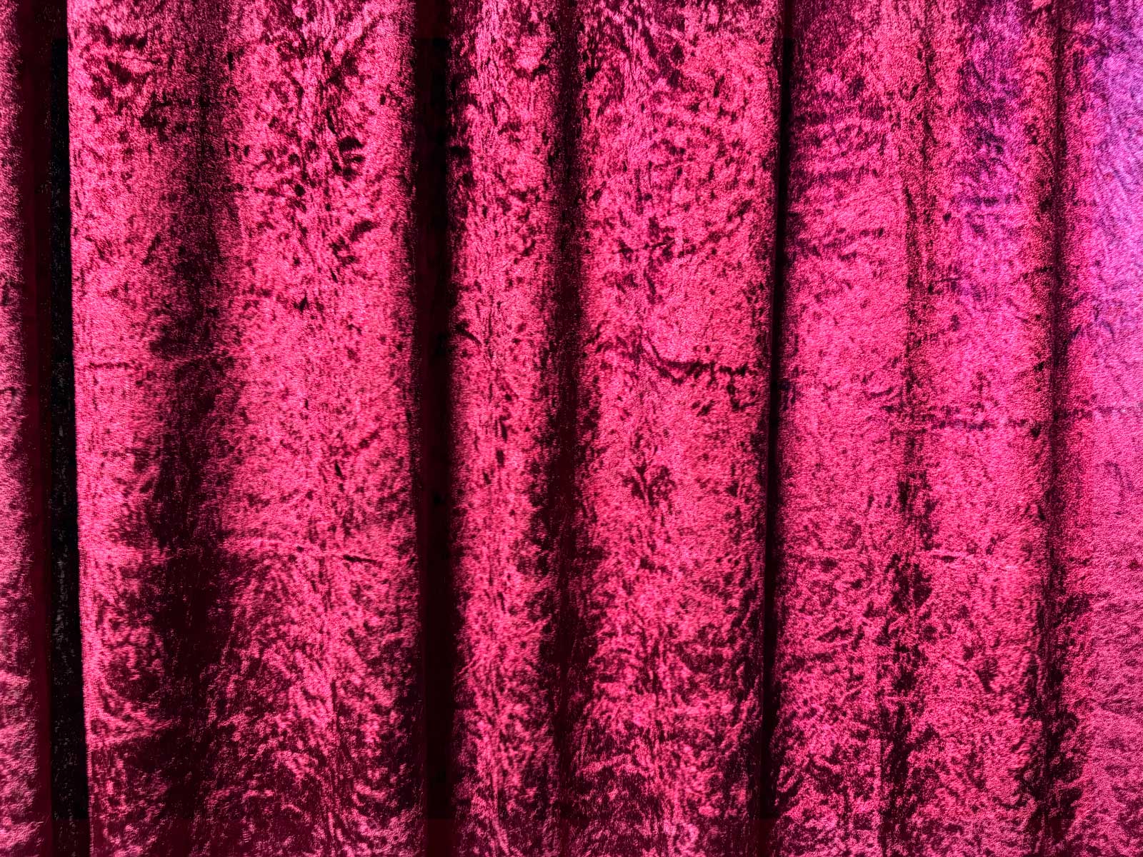 Burgundy velvet curtains at the cat vintage