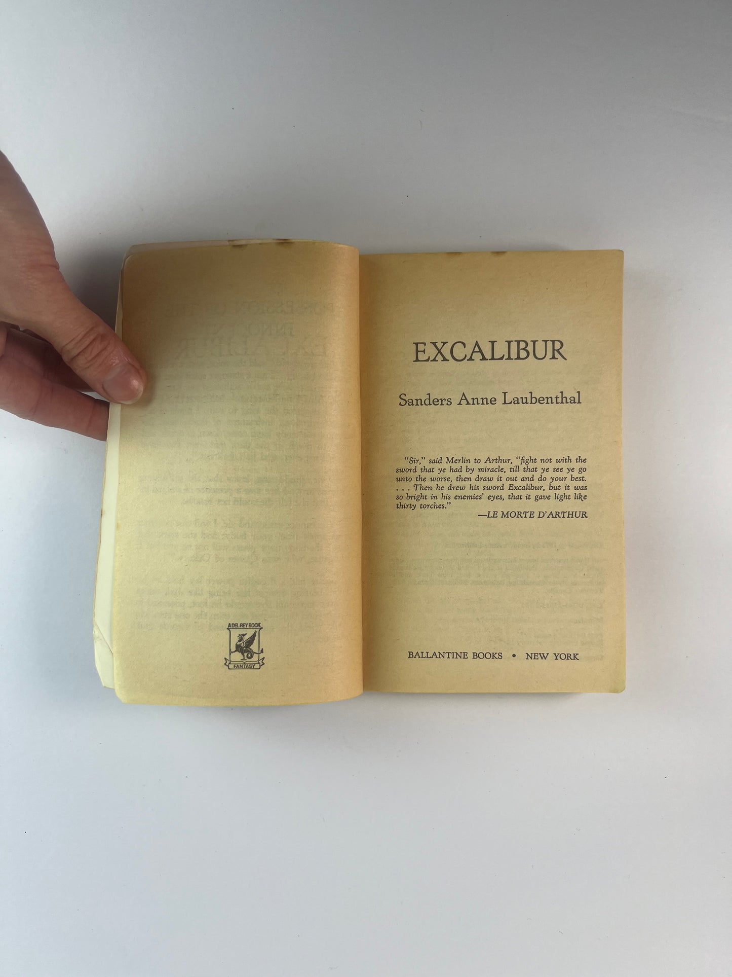Vintage Paperback - Excalibur - Sanders Anne Laubenthal - 1977 Ballantine Books