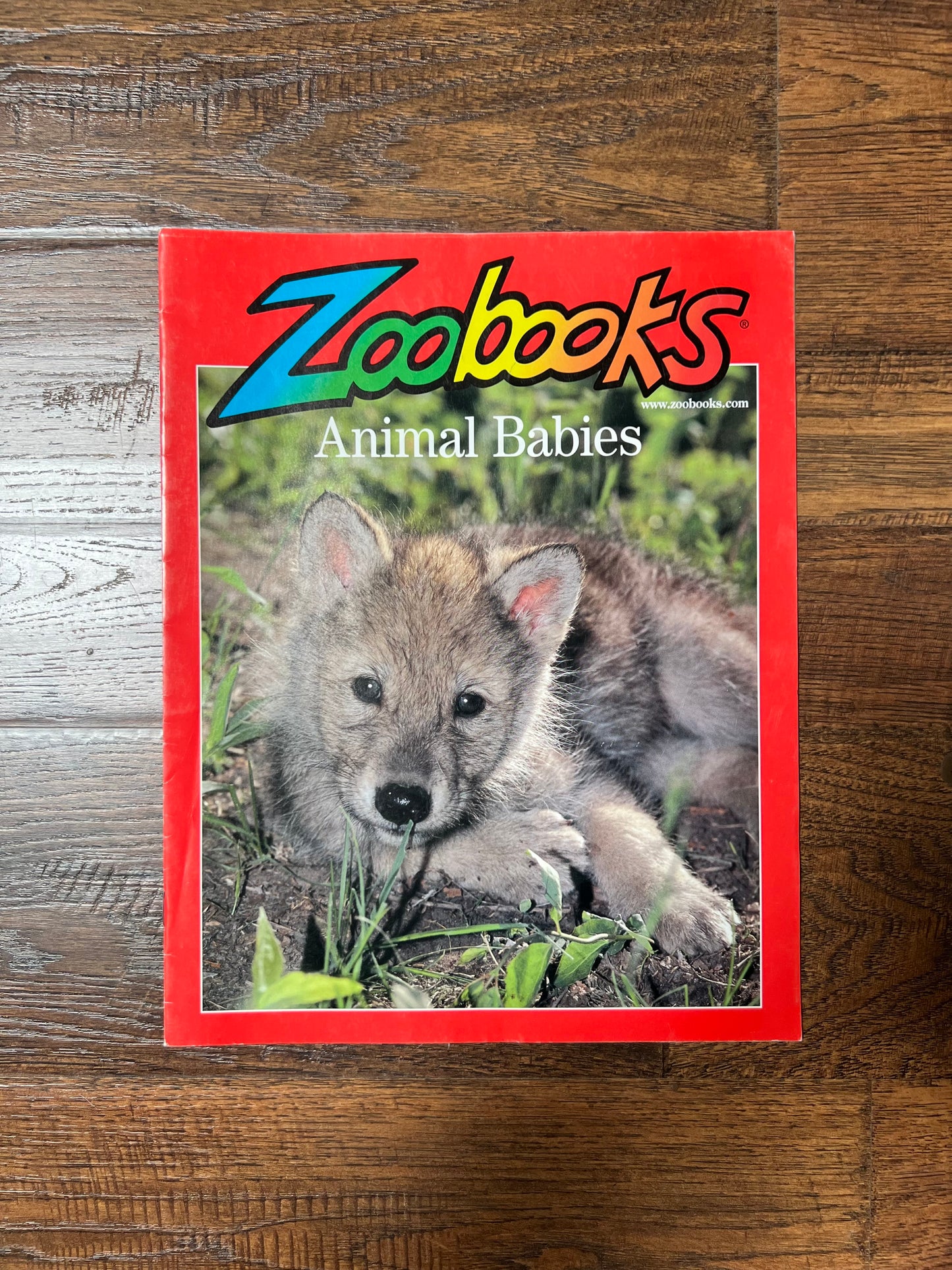 Vintage Ephemera - Magazine - Zoobooks - Animal Babies - August 2001