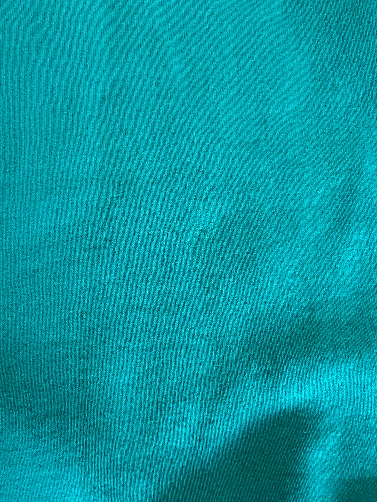 Vintage Clothing - Crewneck Pullover Sweatshirt - Teal - Fruit Of The Loom - X-Large