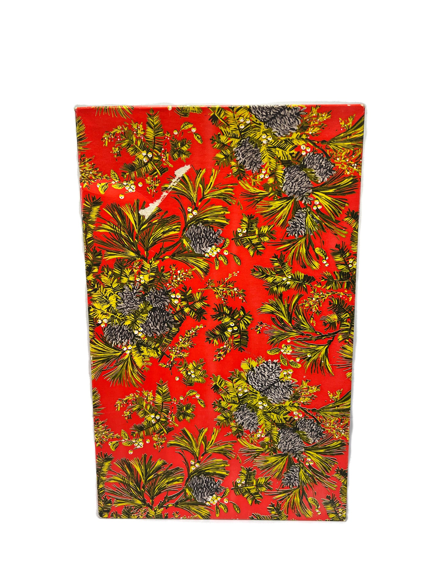 Vintage Shirt Box - Pine Cone Clusters on Persimmon