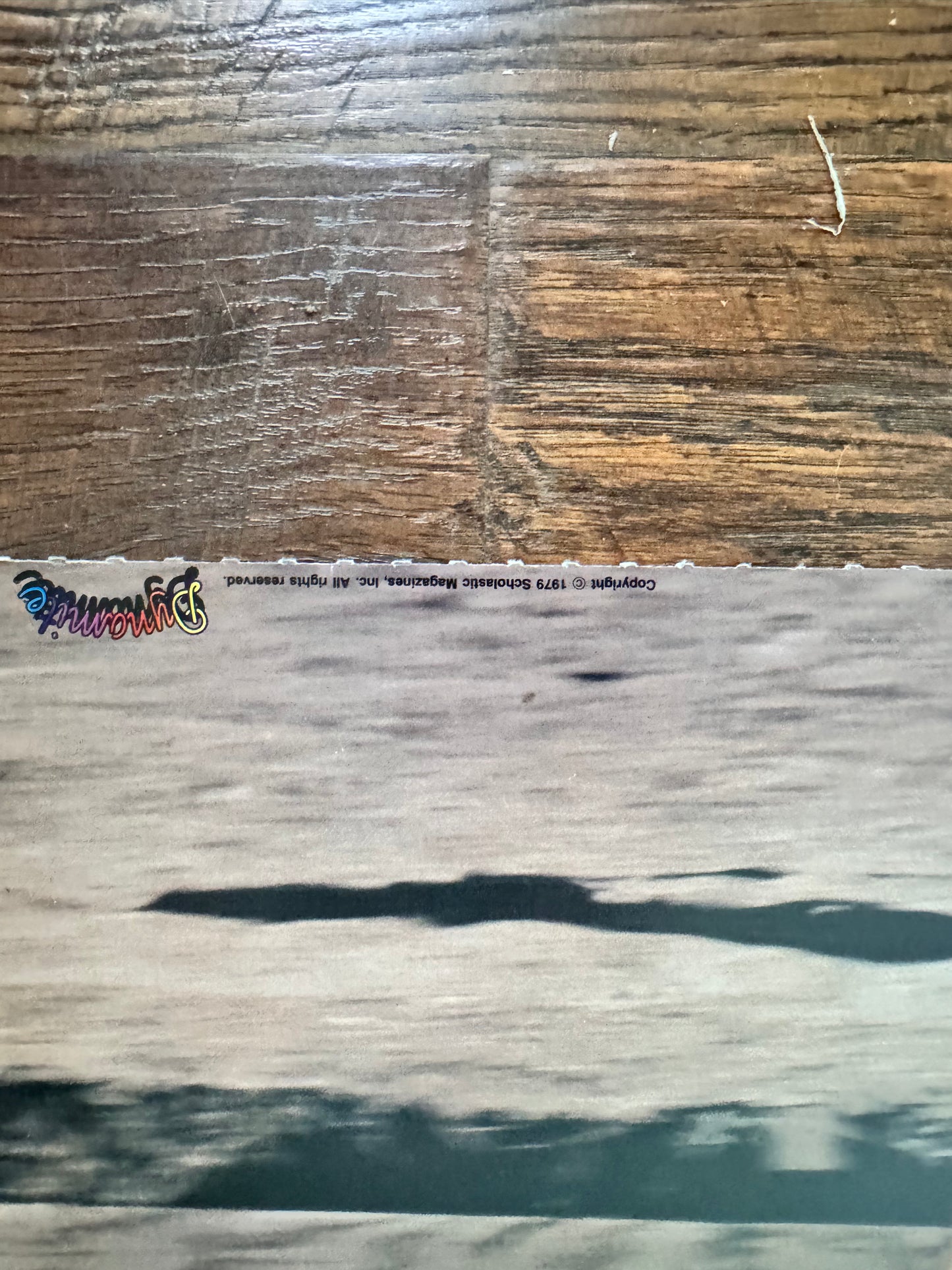 Vintage Dynamite Magazine Insert Poster - Galloping Horse