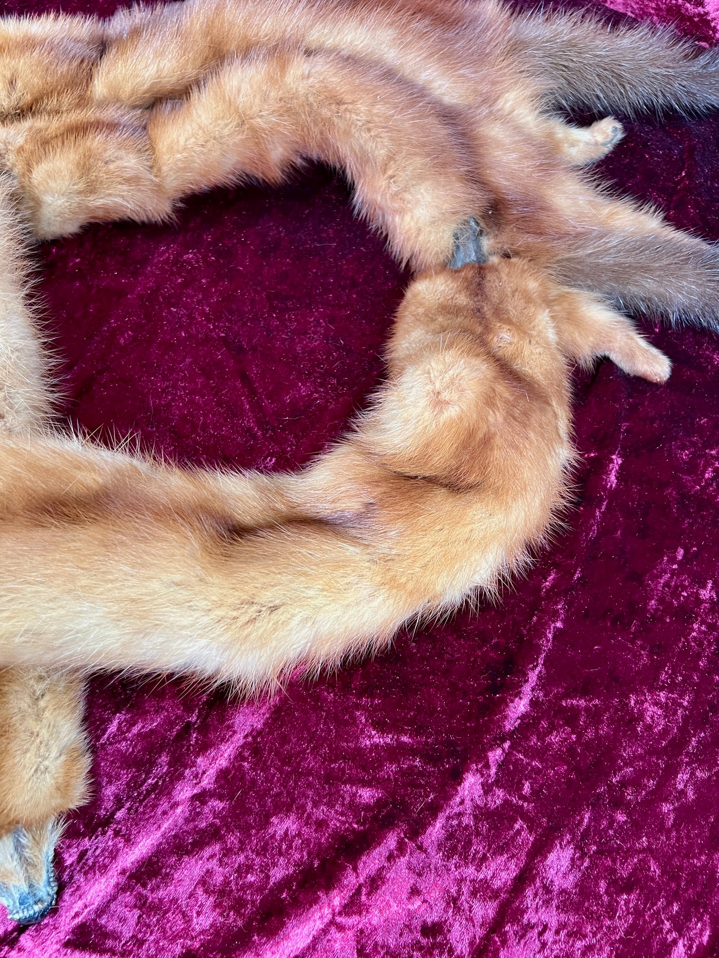 Vintage Fur Shoulder Wrap Stole – Four Red Foxes - 51"