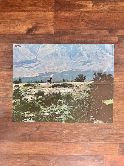 Vintage Dynamite Magazine Insert Poster - 1974 - Horse in Rugged Landscape