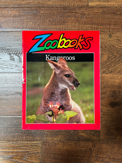 Vintage Ephemera - Magazine - Zoobooks - Kangaroos - October 1999
