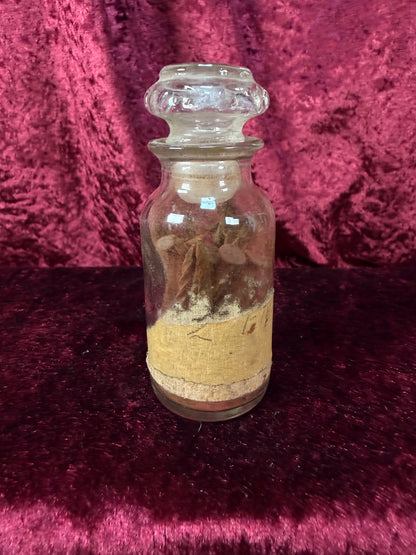Vintage Glass Apothecary Bottle – Stoppered Rusty Nail Curiosity
