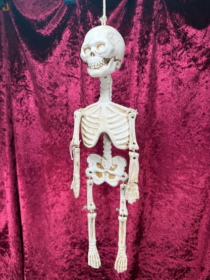 Vintage Halloween - Jointed Hanging Skeleton - Ceramic