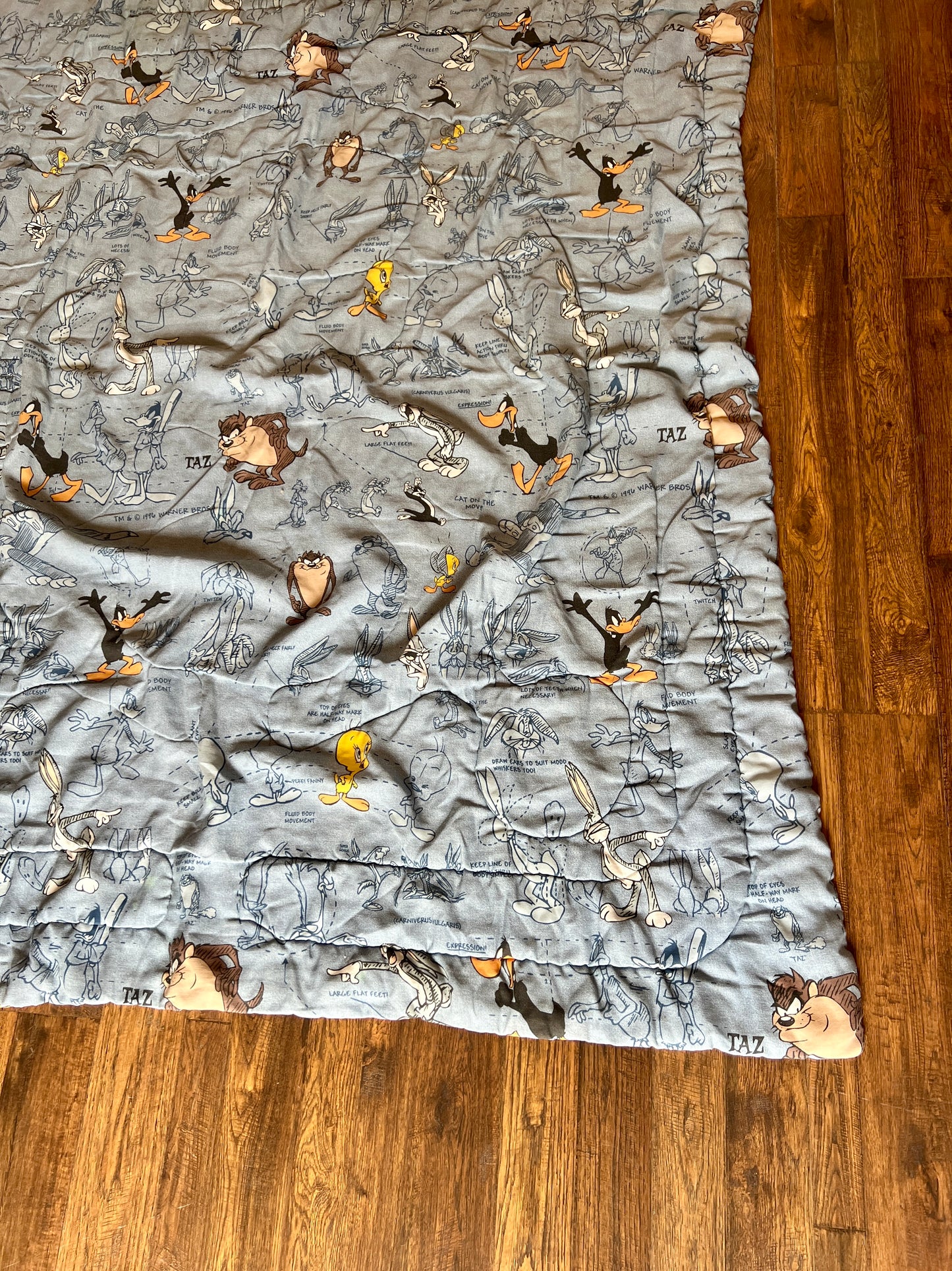 Vintage Linens - Twin Size Comforter - Warner Bros Looney Tunes Characters - 1996 - 82" X 68"