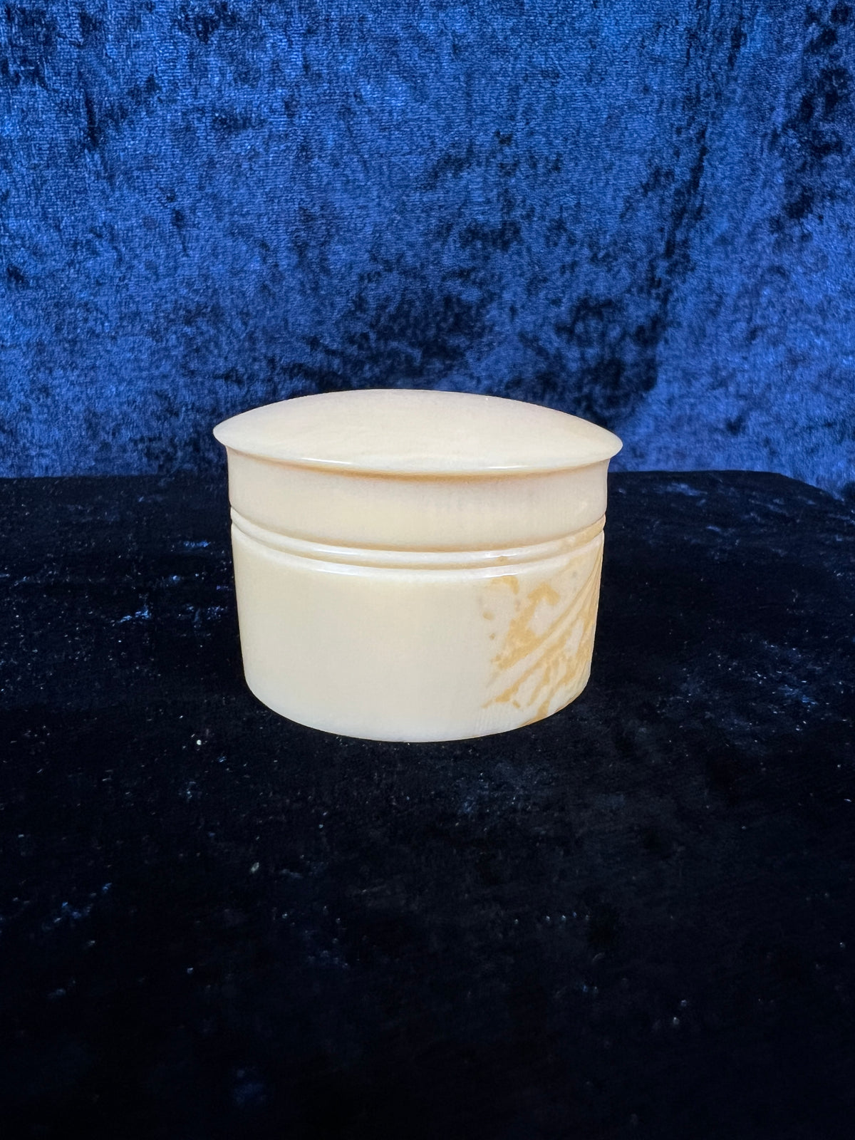 Vintage Celluloid Trinket Box - Ivory Lidded Curiosity