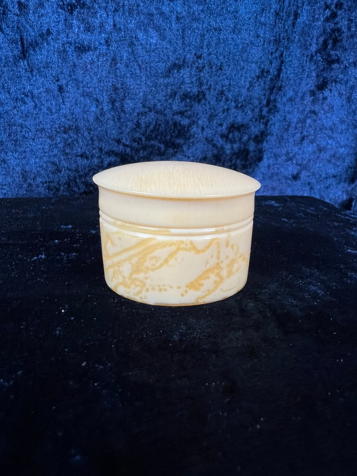 Vintage Celluloid Trinket Box - Ivory Lidded Curiosity