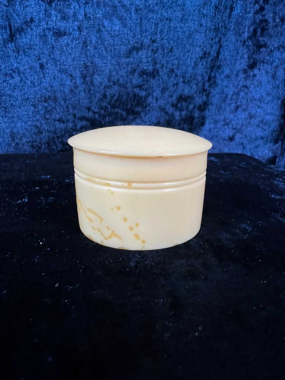 Vintage Celluloid Trinket Box - Ivory Lidded Curiosity